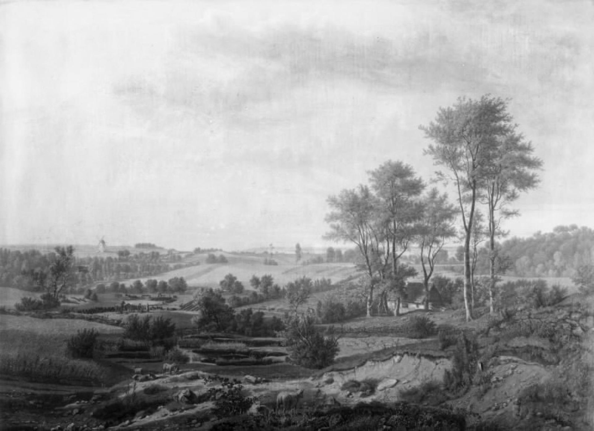 Nordsjællandsk landskab. I baggrunden den svenske kyst by J.P. Møller