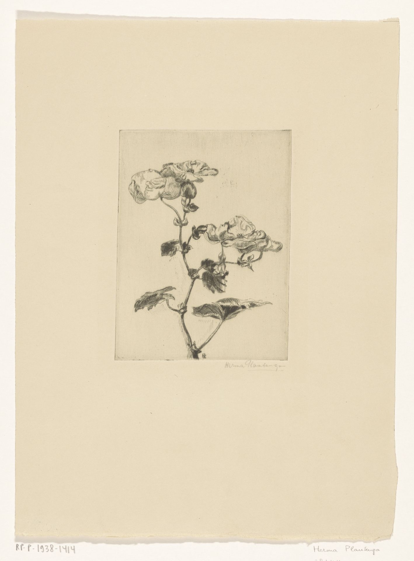 Bloemen by Maria Hermana Johanna de Boer-Plantenga