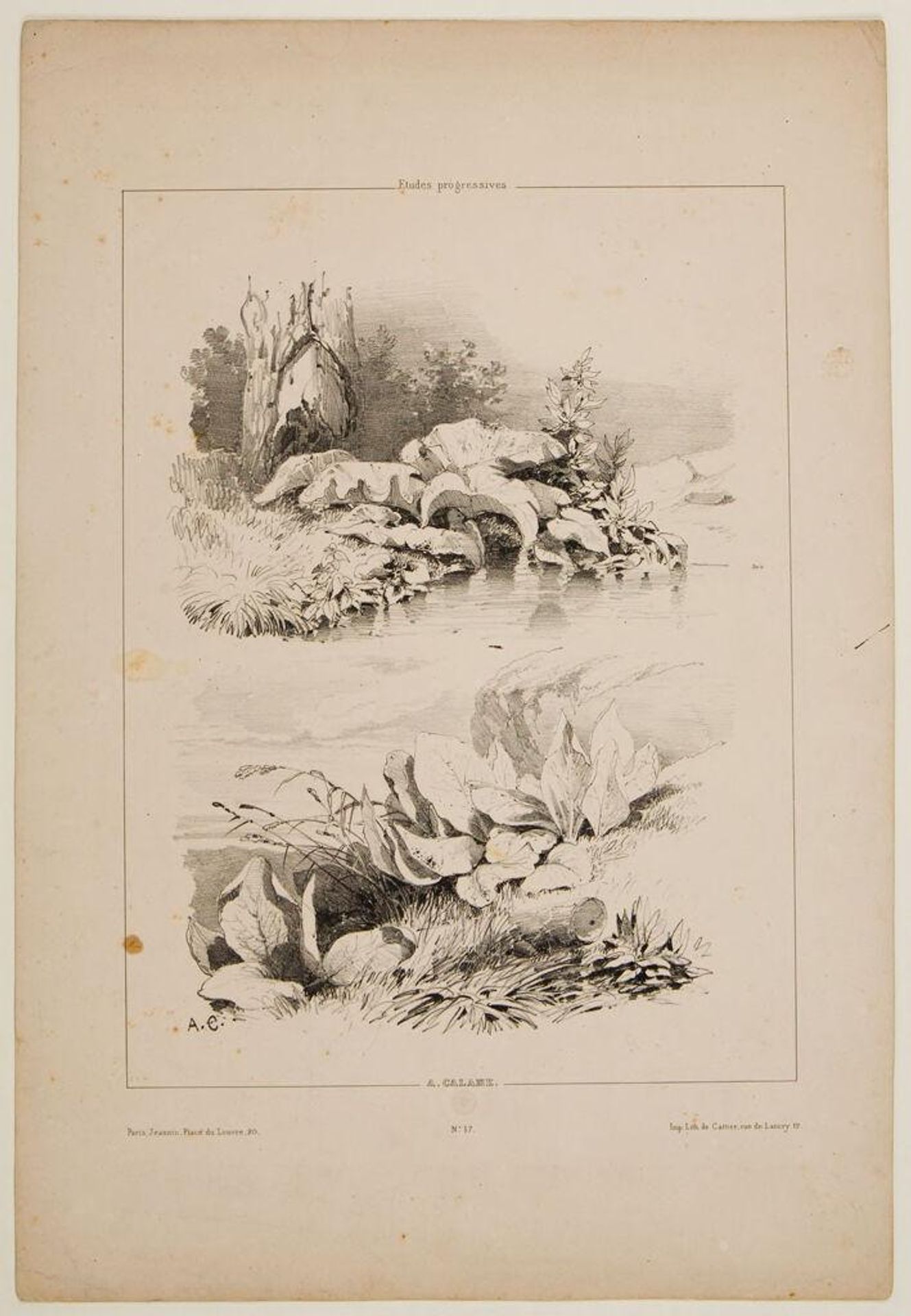 Two Sketches of Waterside Large-Leaved Undergrowth by Alexandre Calame
