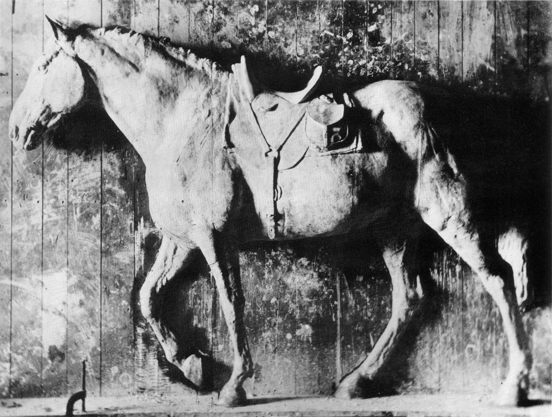 Clinker, G509 by Thomas Eakins