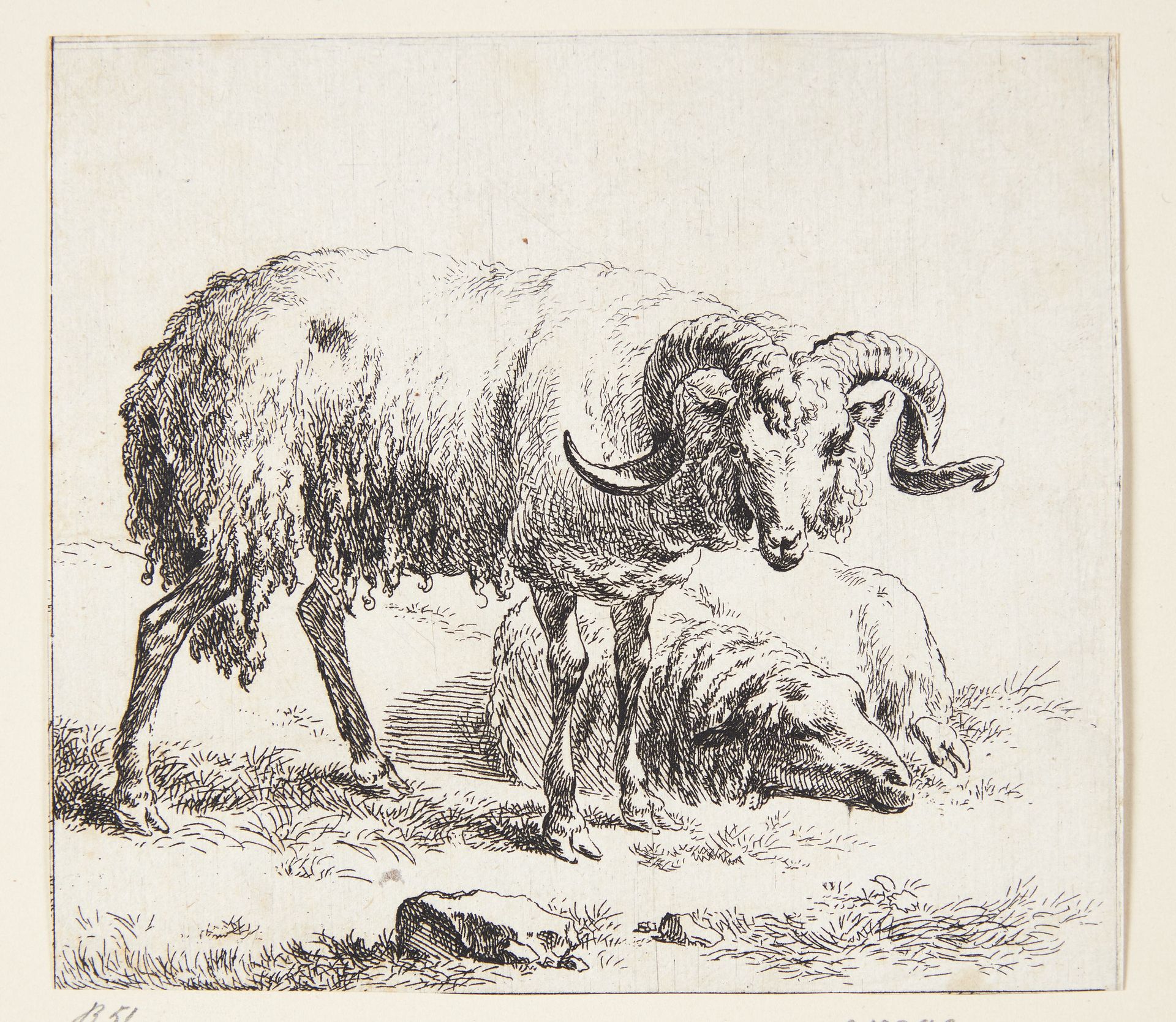 Stående vædder og et liggende får by Nicolaes Berchem