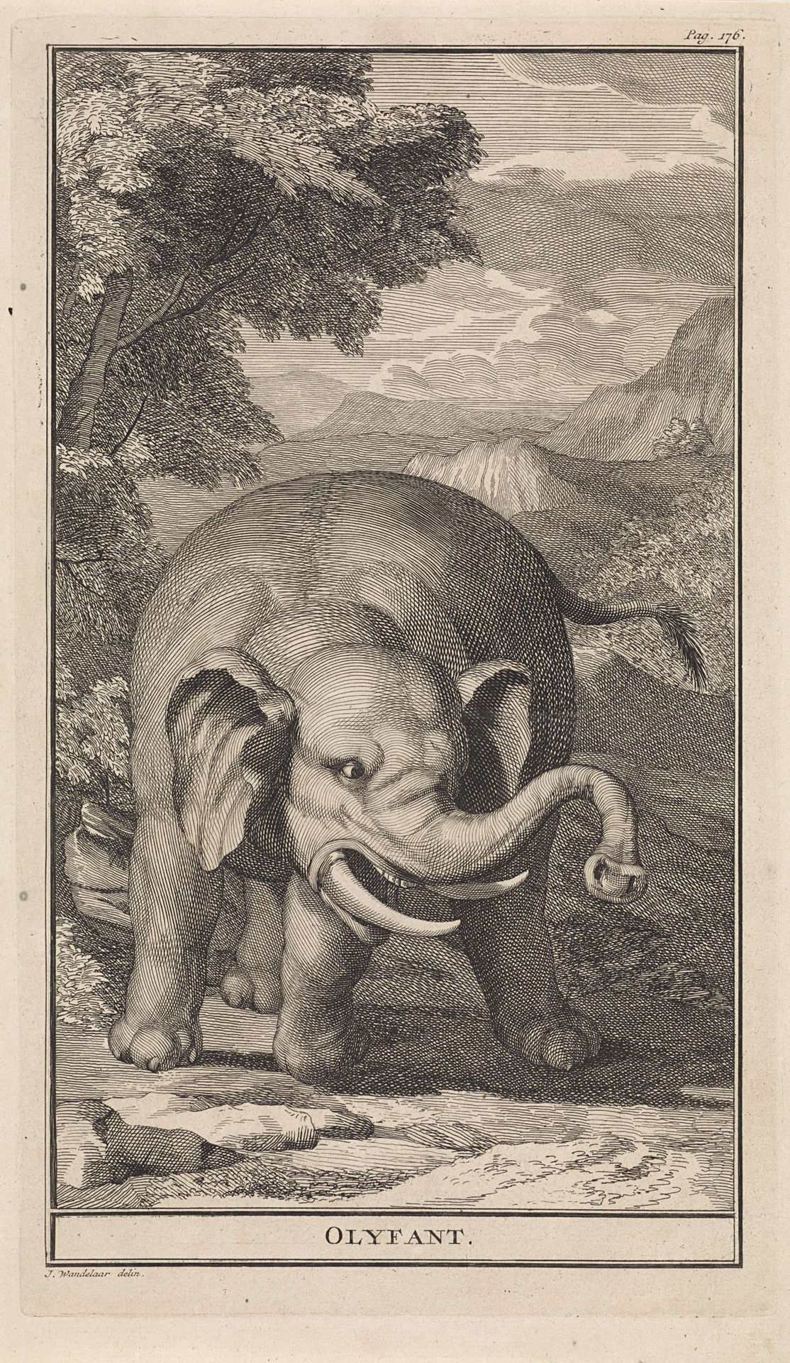 Bergachtig landschap met een olifant by Jan Wandelaar