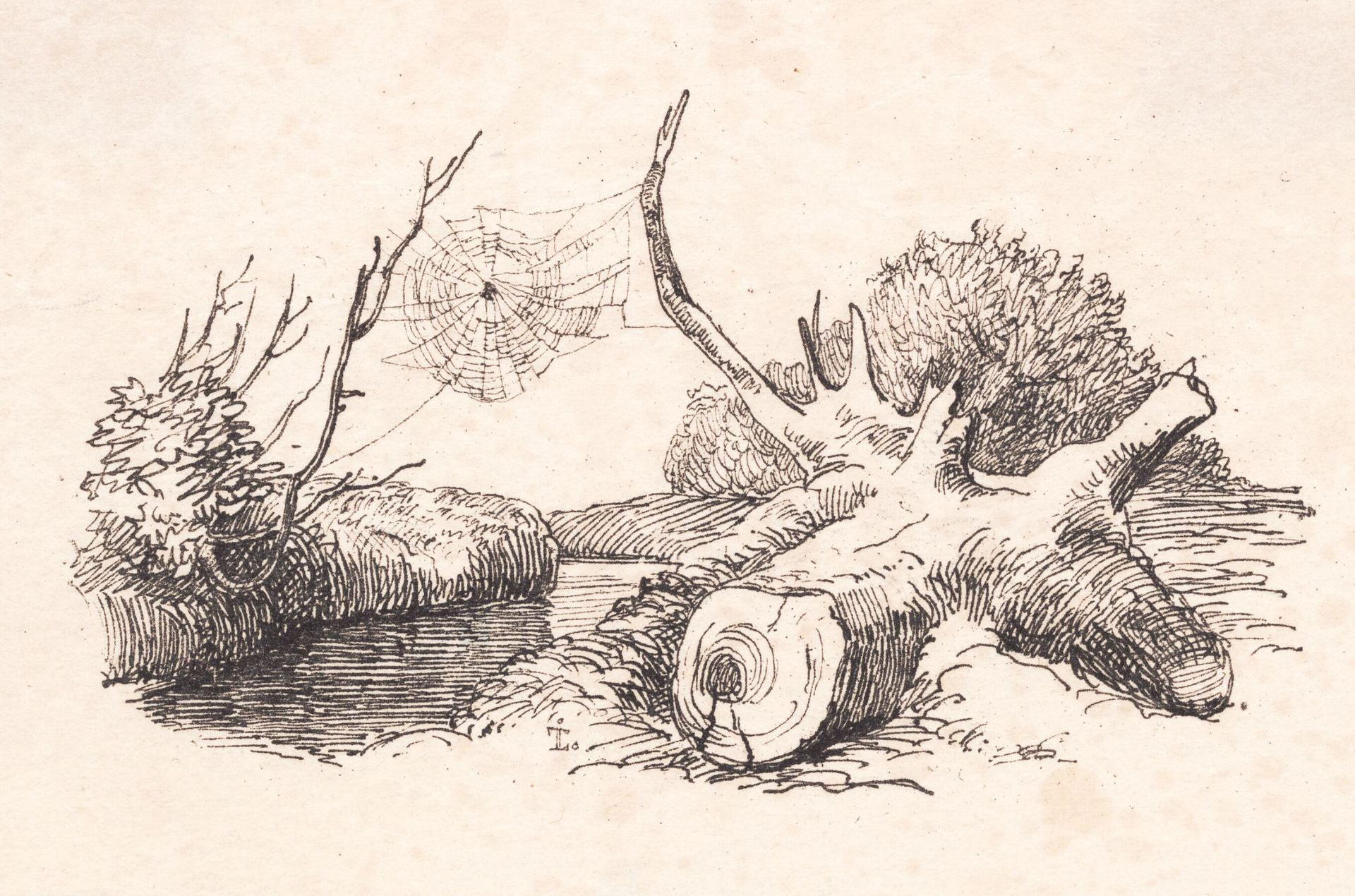 Edderkoppen by Johan Thomas Lundbye