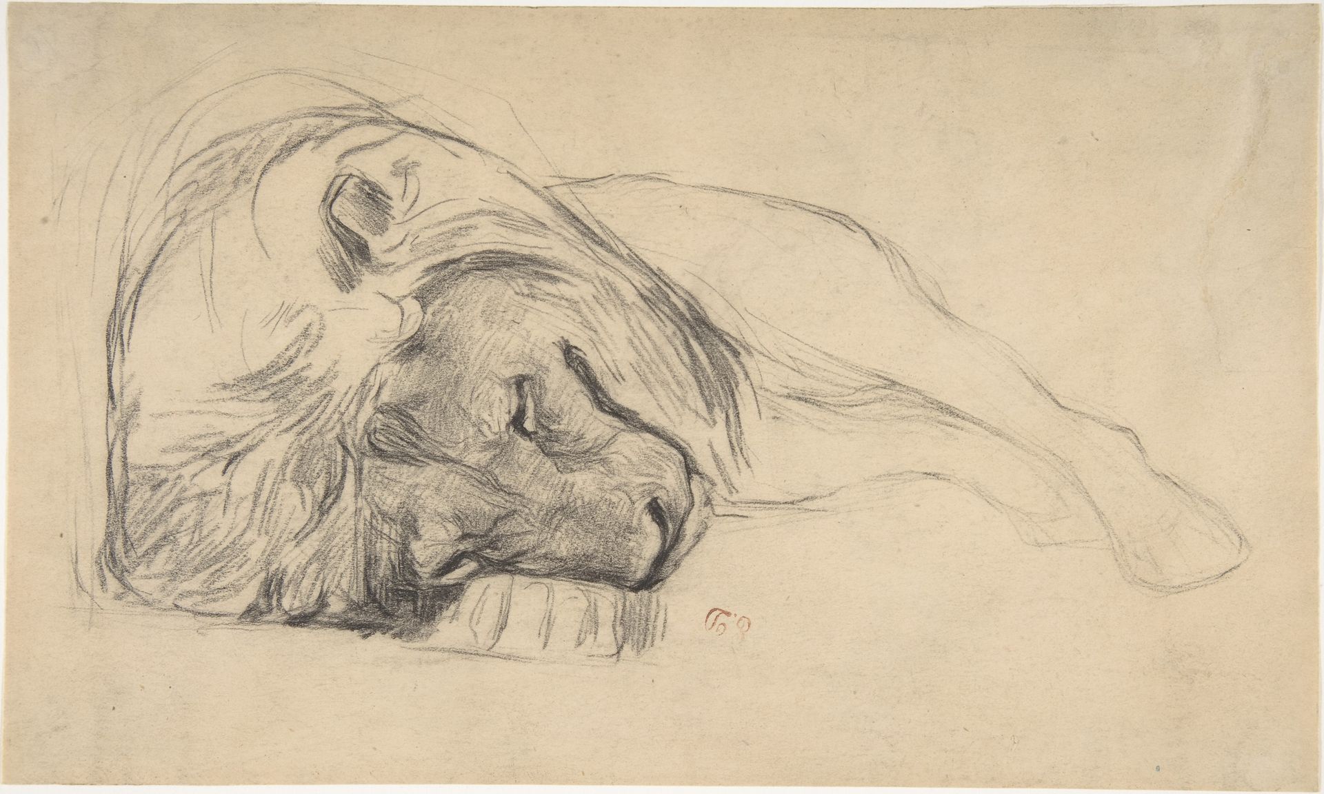 The Head of a Recumbent Lion by Pierre Andrieu