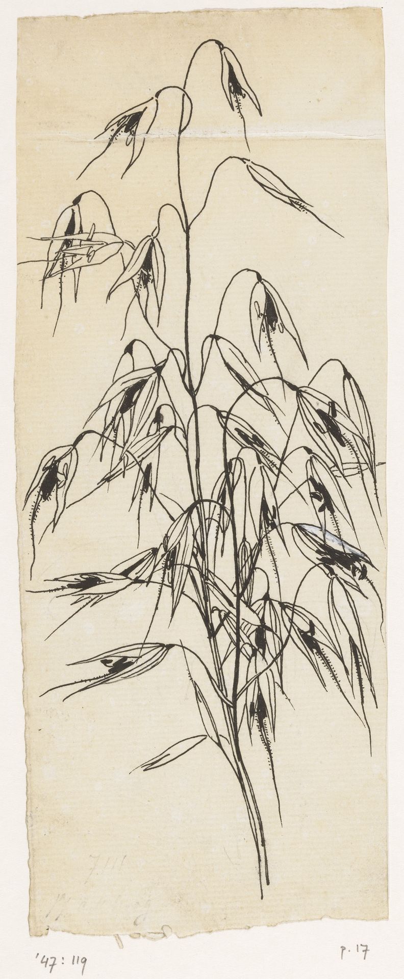 Haver by Willem Wenckebach