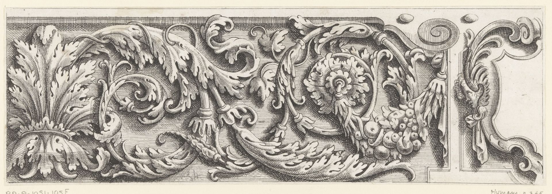 Ranken met acanthusbladeren by Anonymous