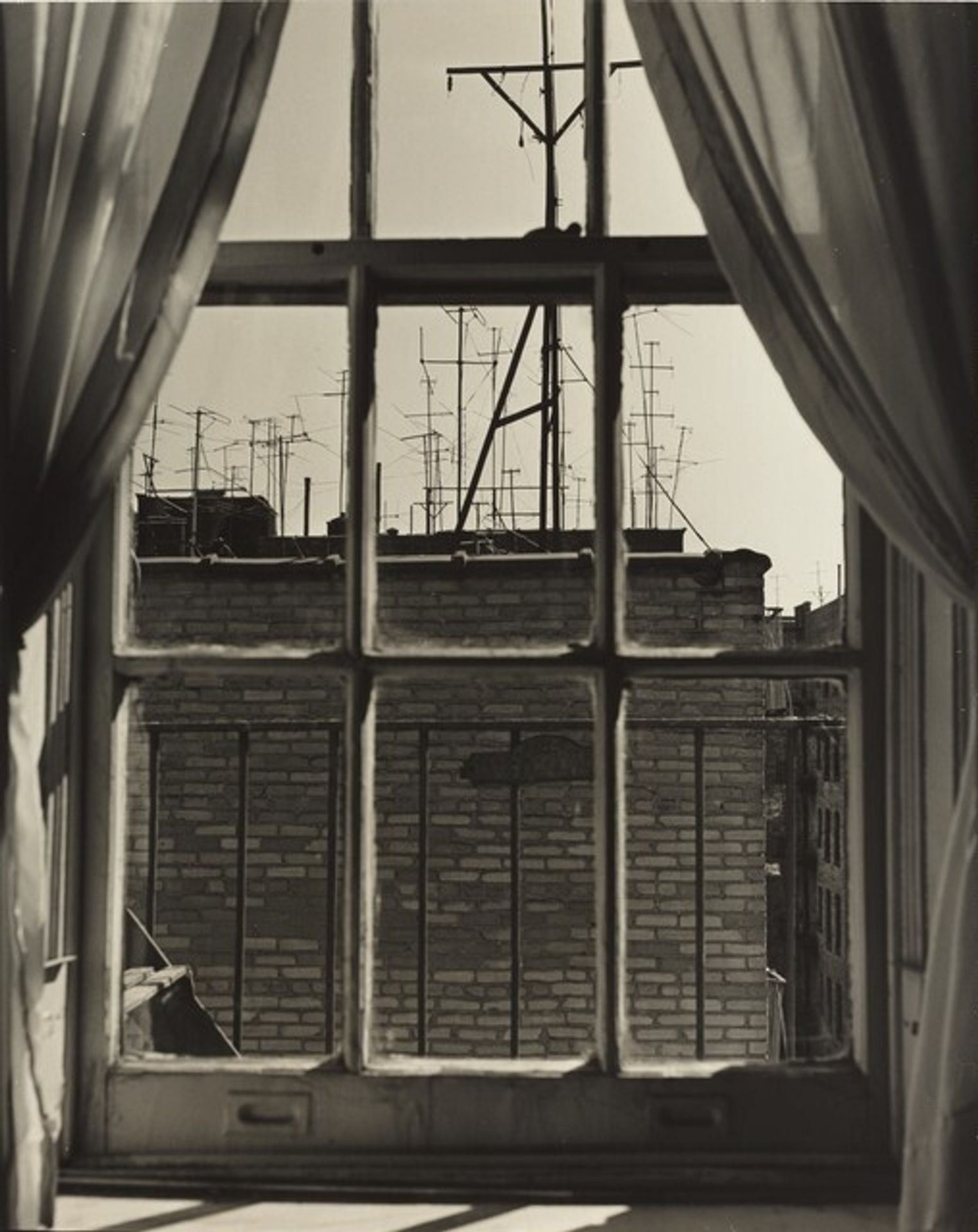 Window View by Ilse Bing