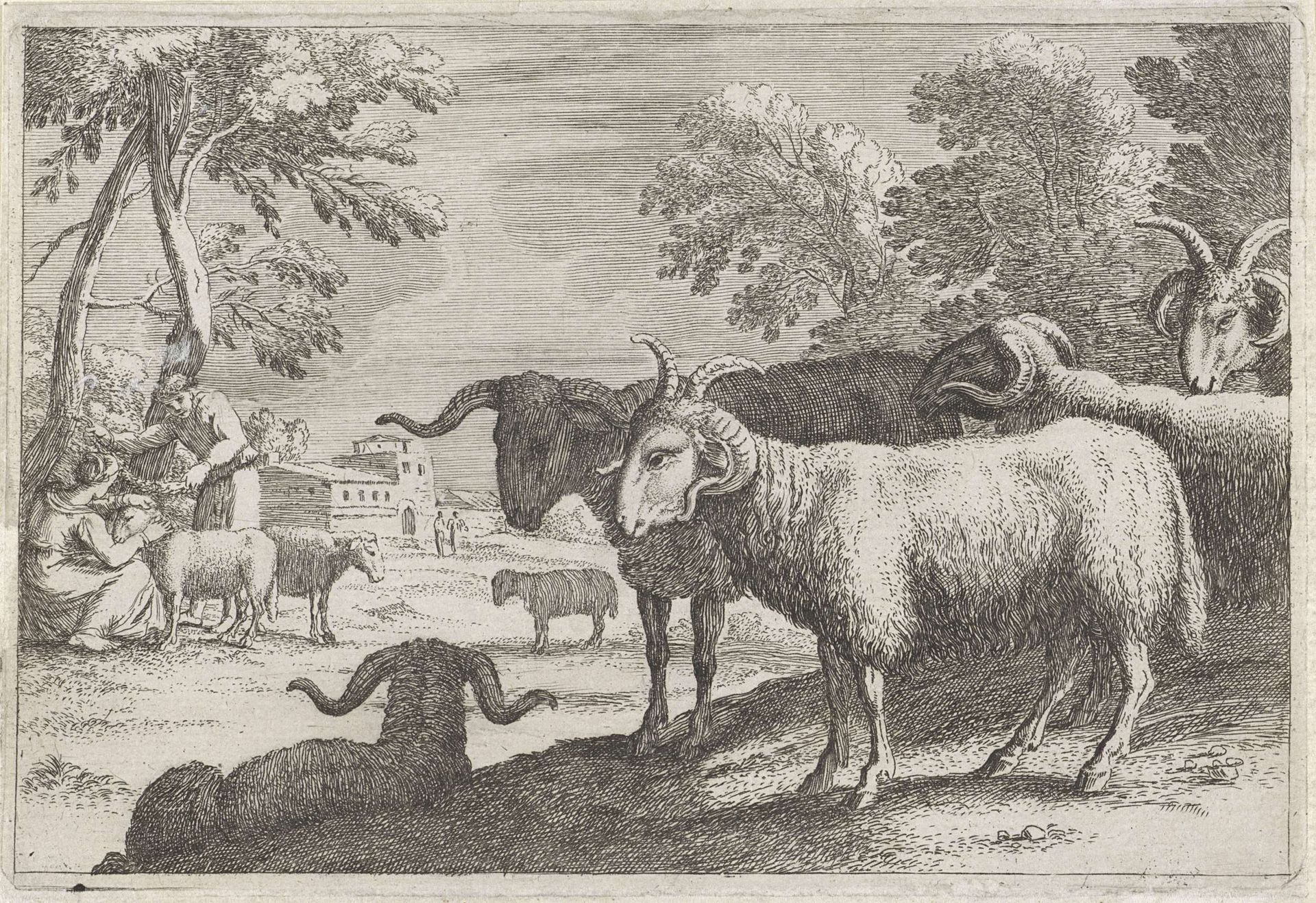 Rammen by Anonymous