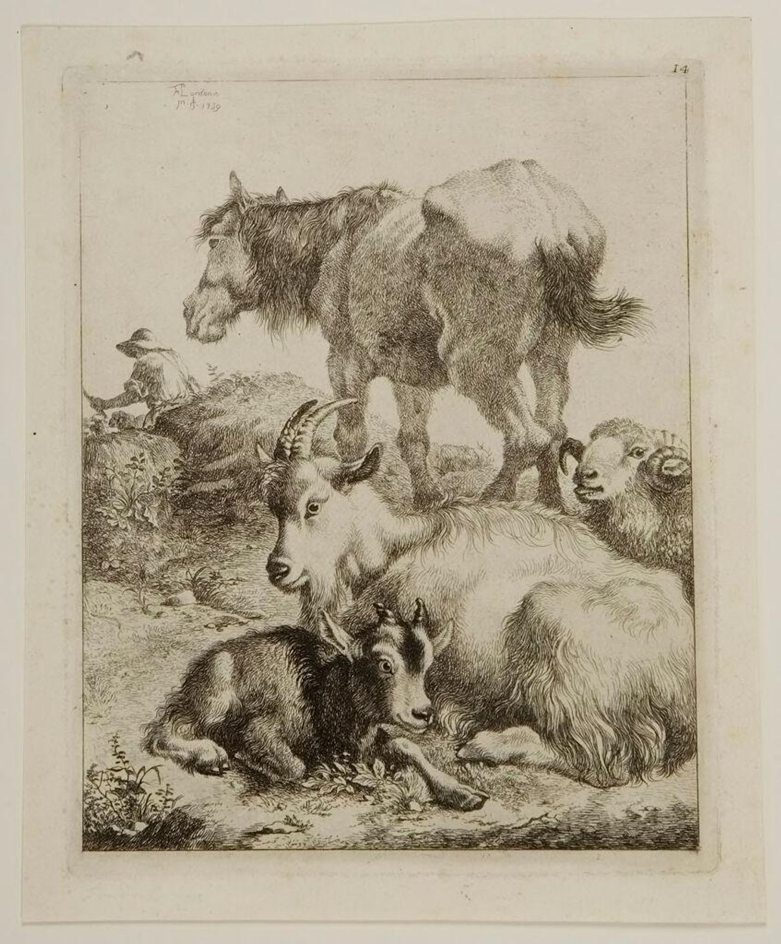 Goats, Ram and a Horse by Francesco Londonio