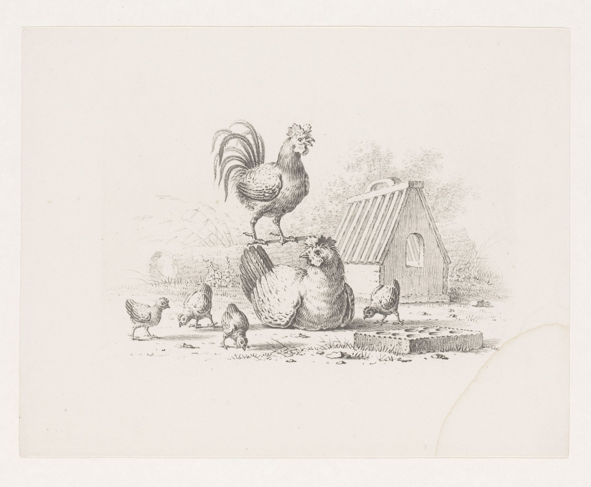 Haan, kip en kuikens by Pieter de Goeje