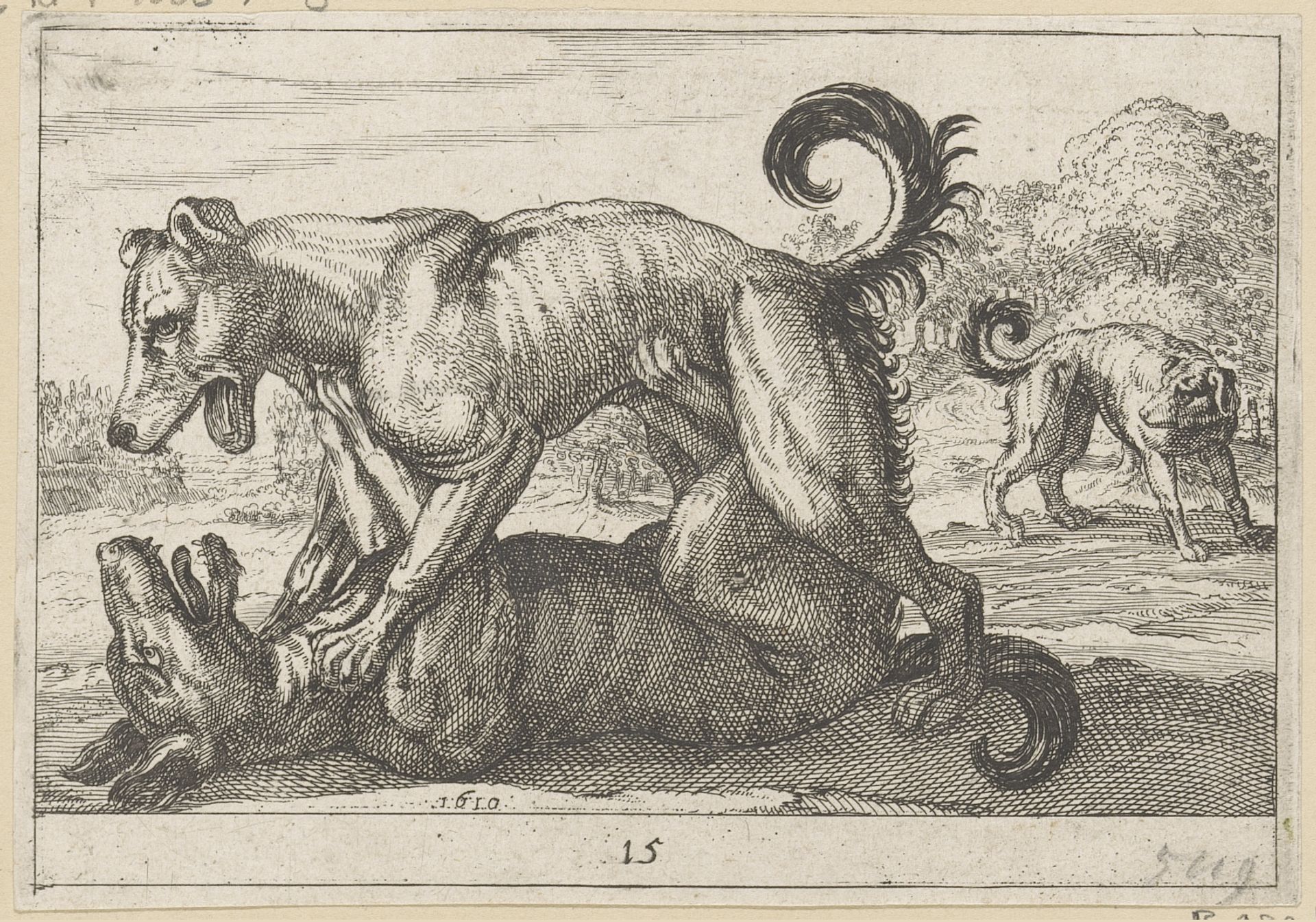 Twee parende en twee vechtende honden by Anonymous