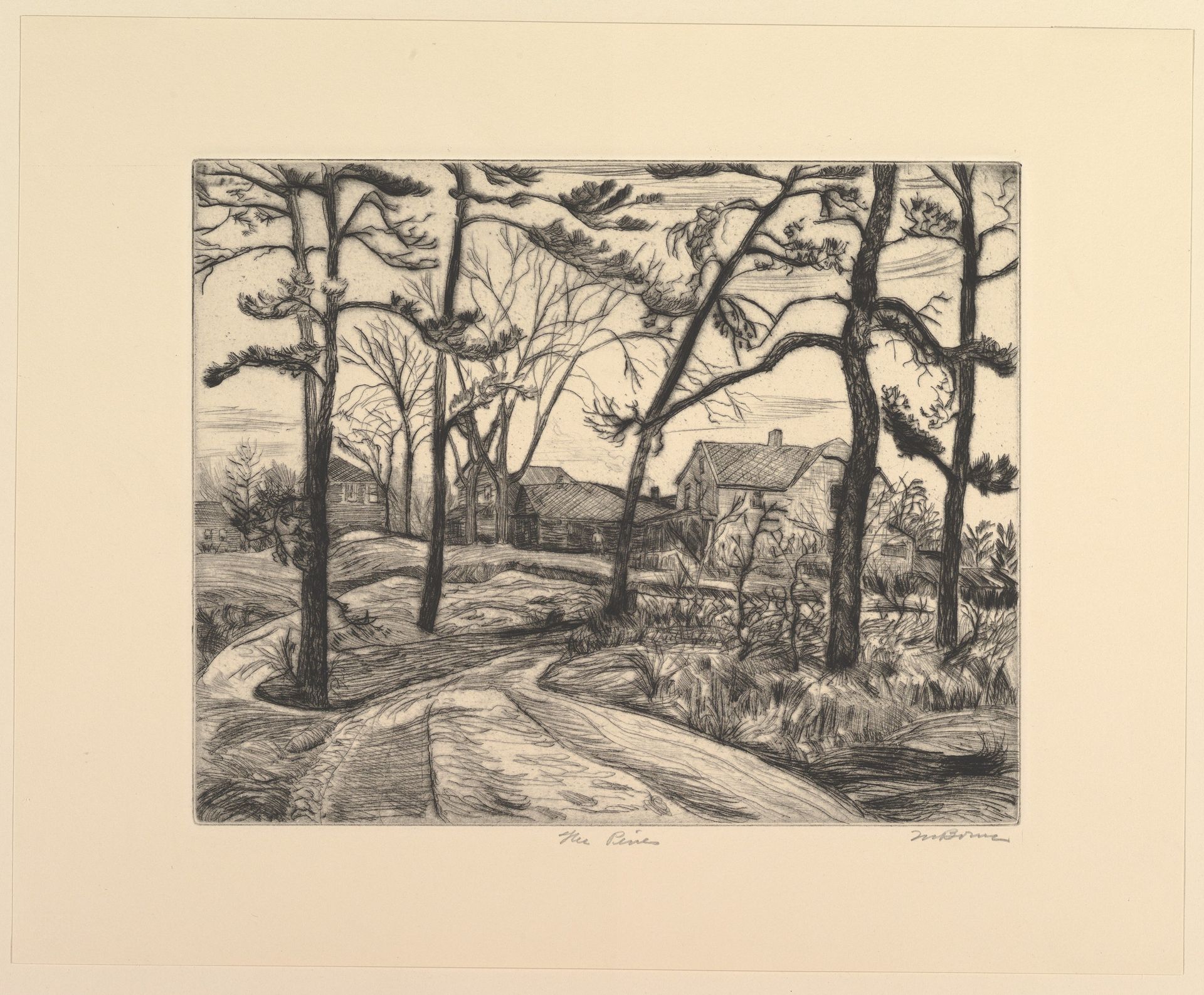 The Pines by Mortimer Borne