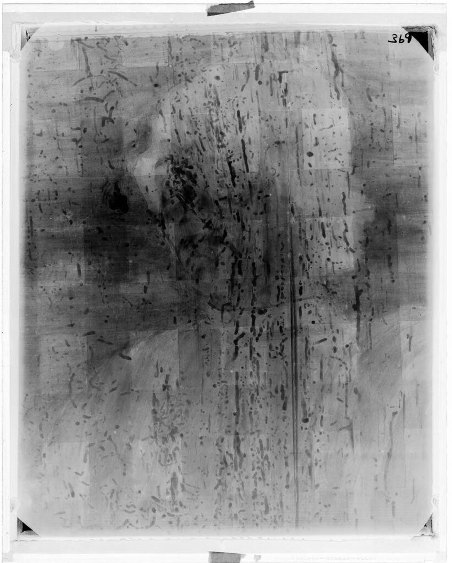 X-radiograph(s) of "Male Portrait" by Artist of original: Andrea del Castagno