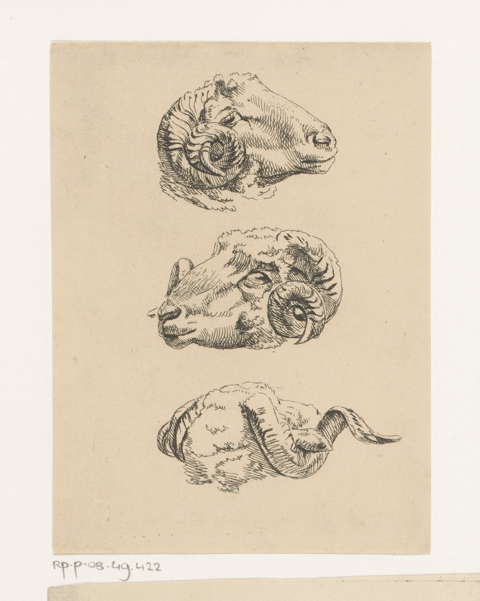 Drie ramskoppen by Hendrik Jozef Franciscus van der Poorten