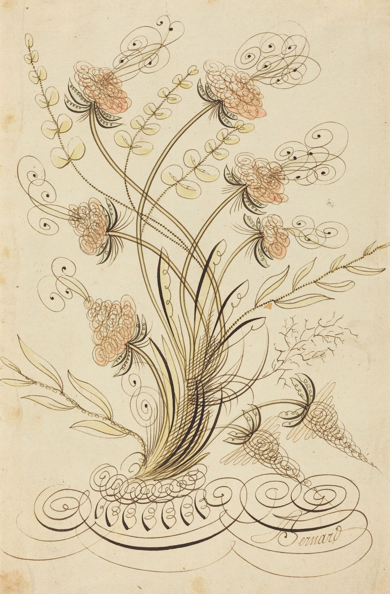 Calligraphic Flowers by Joseph Jean Bernard