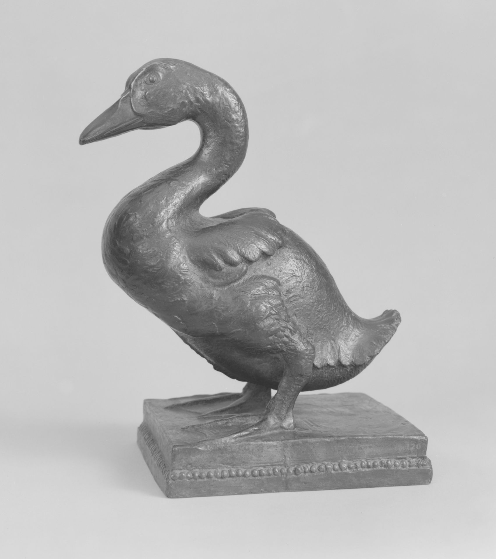 Young Duck by Harry Dickinson Thrasher