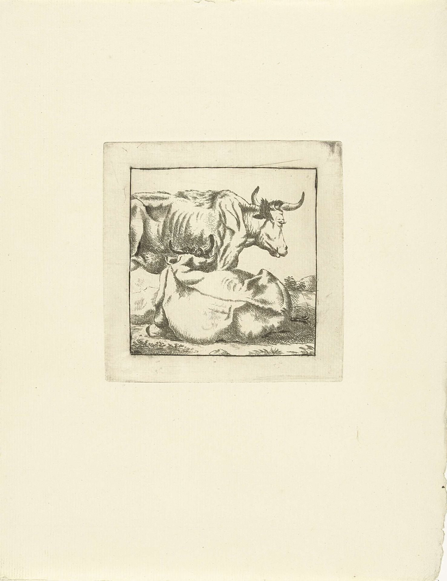 Liggende en staande koe by G. van Citters