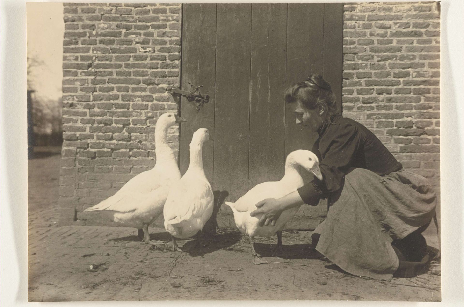 Vrouw knielt bij drie ganzen op een boerderij by Richard Tepe