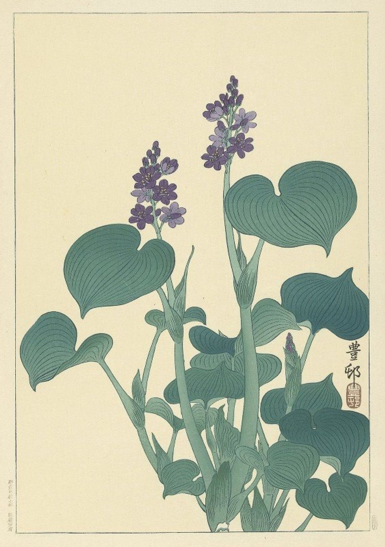 Flowering hosta by Ohara Koson