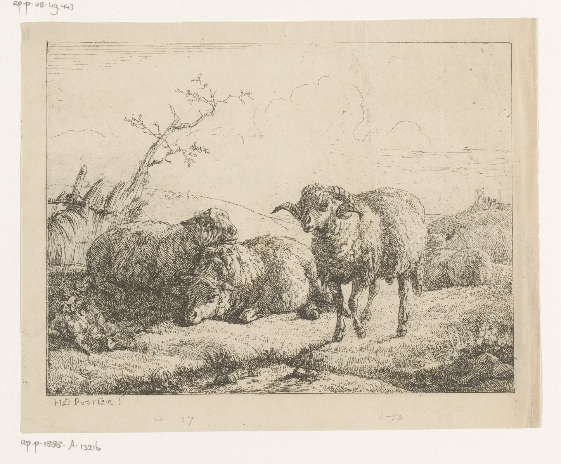 Landschap met drie schapen en een ram by Hendrik Jozef Franciscus van der Poorten