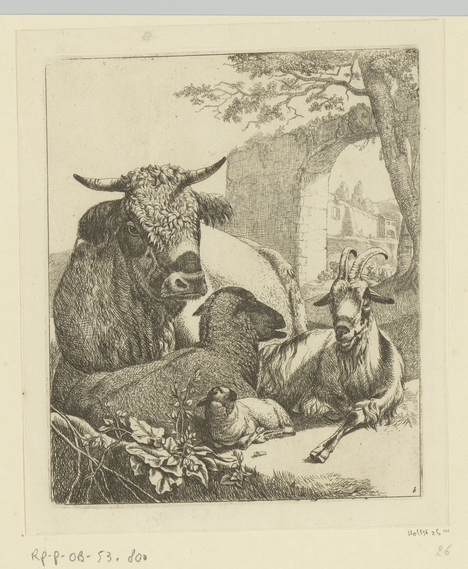 Liggende koe, geit, schaap en lam by Johann Heinrich Roos