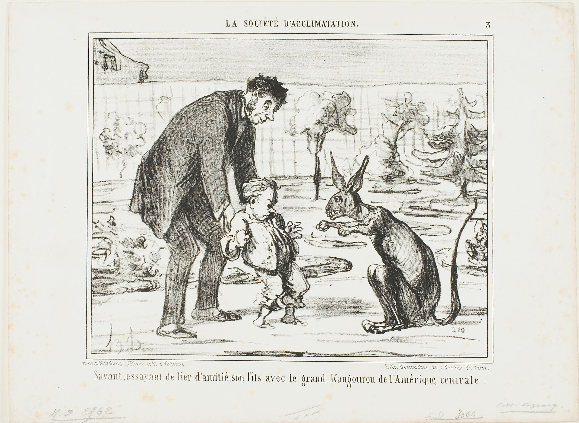 A Scientist Trying to Befriend His Son with a Great Kangaroo from Central America, plate 3 from La Société D'acclimatation by Honoré Daumier