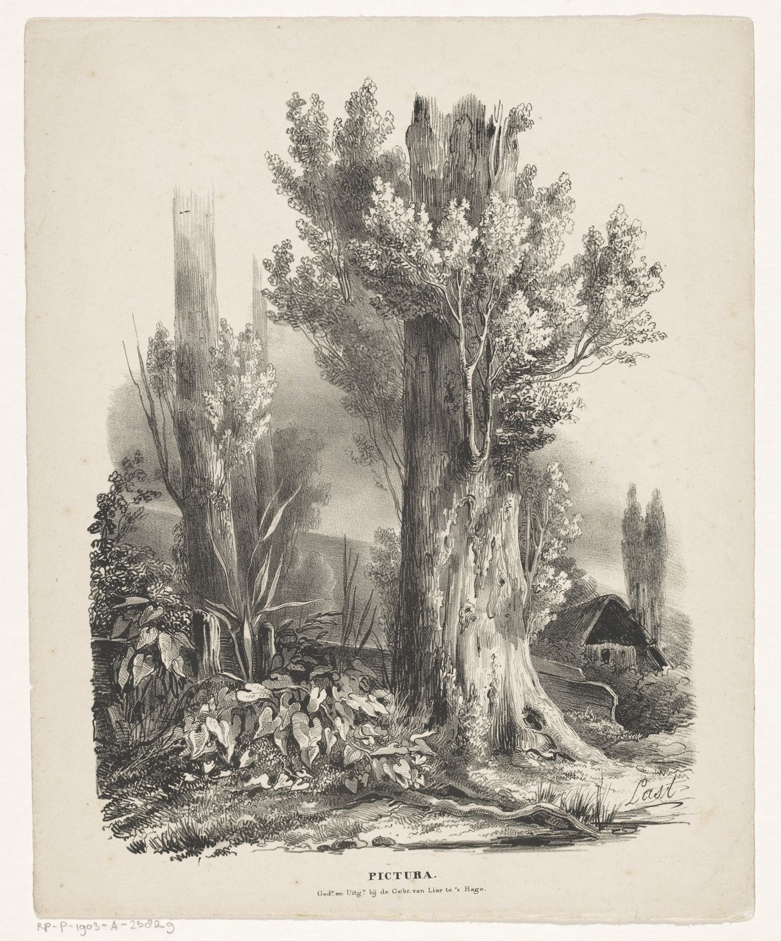 Bomen en een hut by Carel Christiaan Antony Last