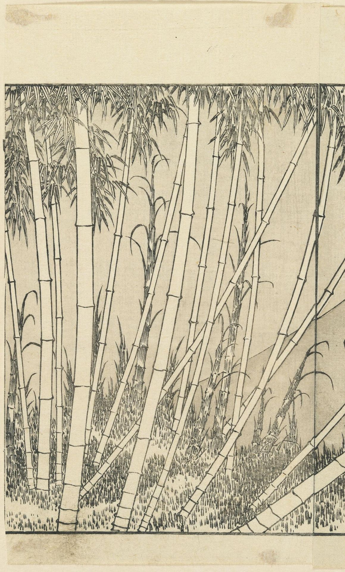 Fuji of the Bamboo Grove (Chikurin no Fuji), detached page from the book One Hundred Views of Mount Fuji (Fugaku hyakkei), vol. 2 by Katsushika Hokusai