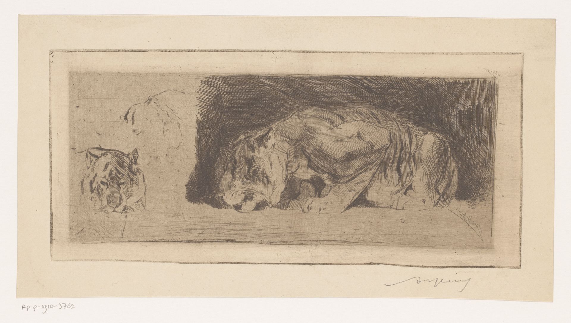 Studieblad met tijgers by Armand Heins