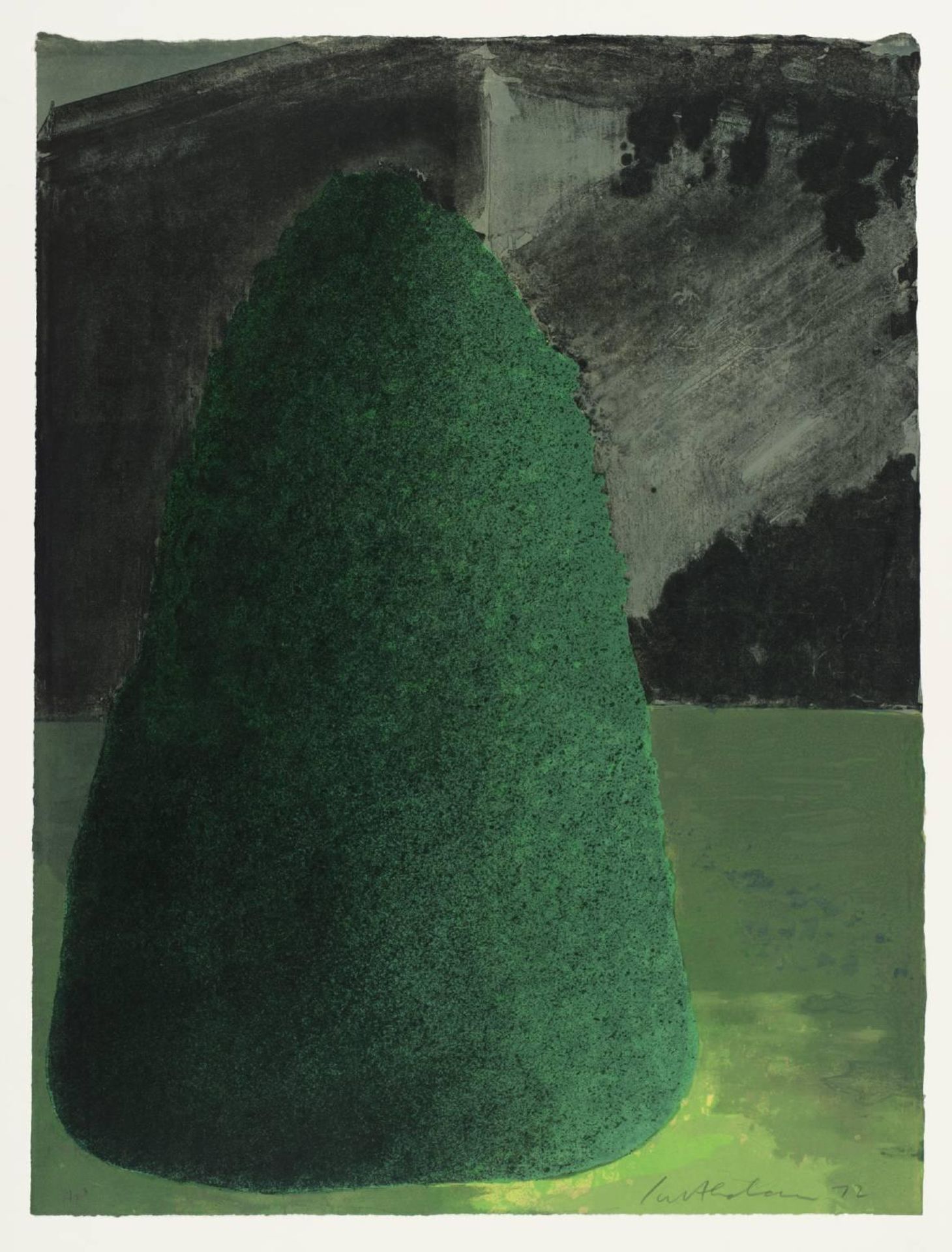 Suburban Shrub II (Dusk) by  Ivor Abrahams