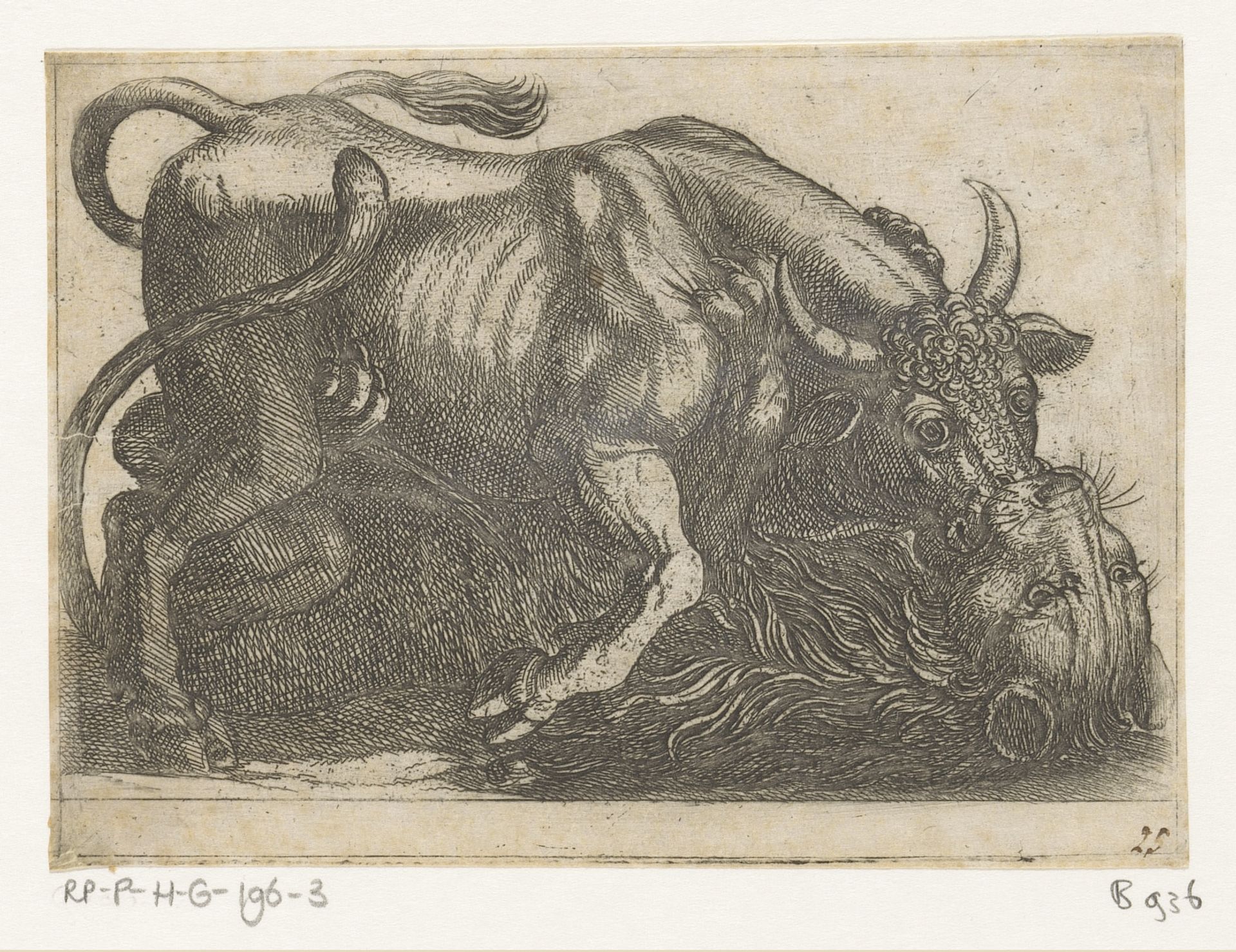 Een stier vechtend met een leeuw by Antonio Tempesta