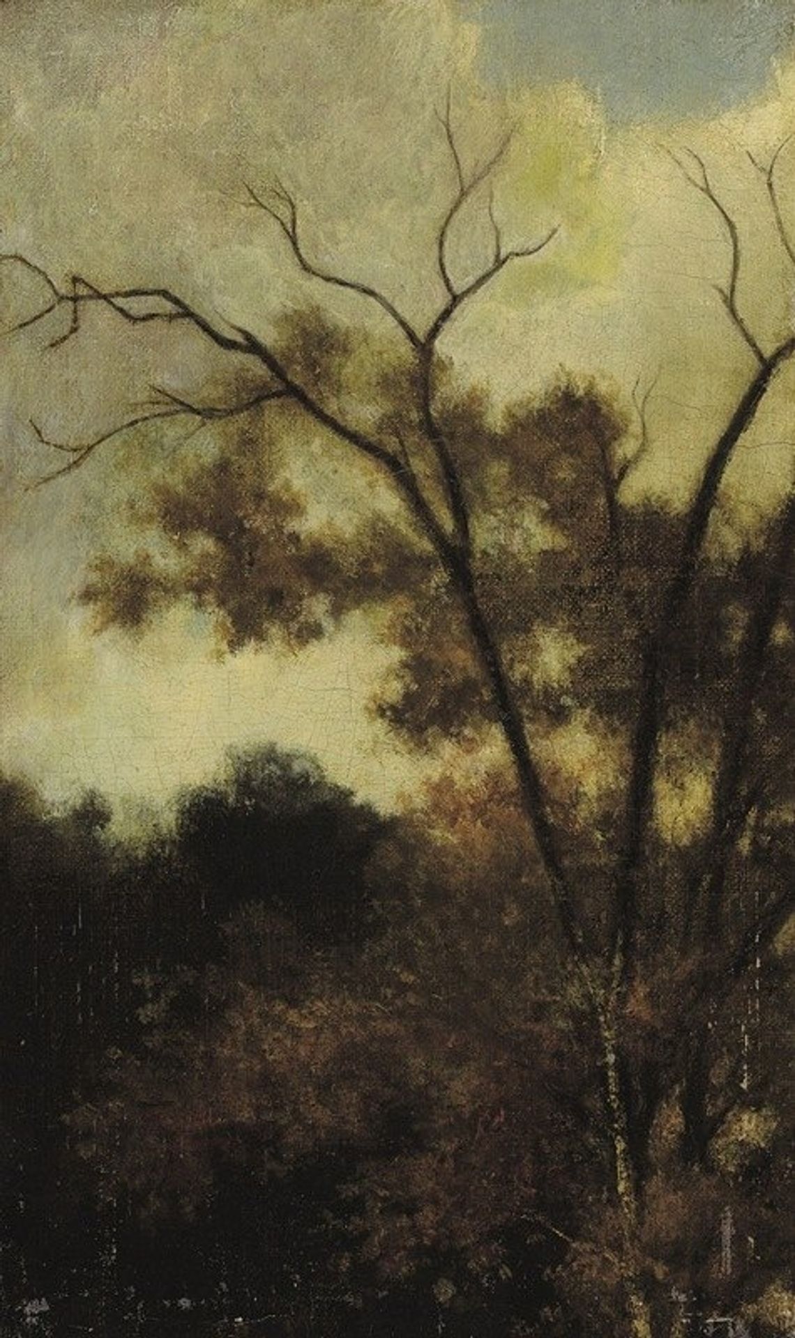 Woodland Landscape by Charles François Daubigny