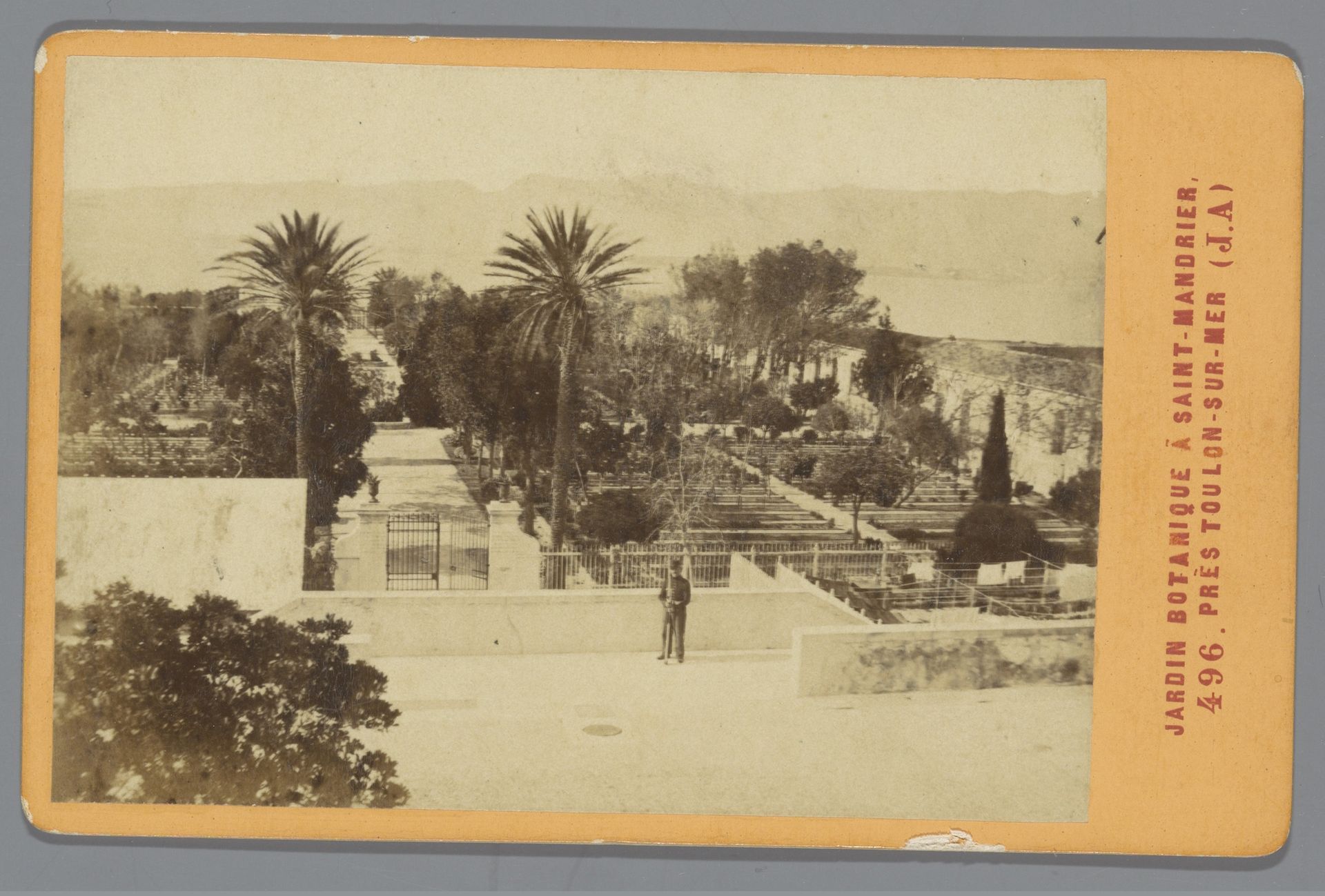 Botanische tuin, Saint-Mandrier-sur-Mer by Jean Andrieu