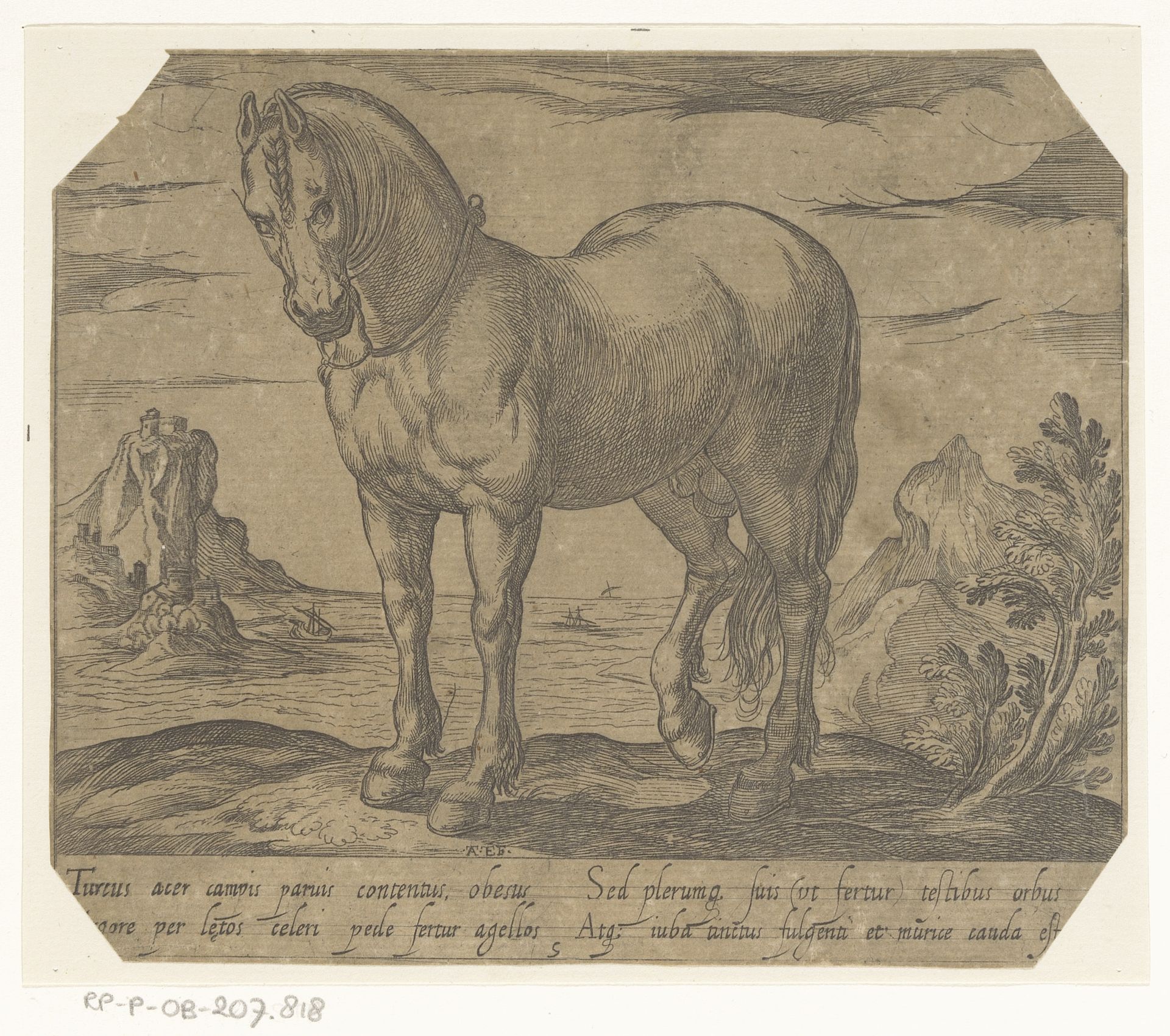 Staand paard naar links gewend, voor een zeegezicht by Antonio Tempesta