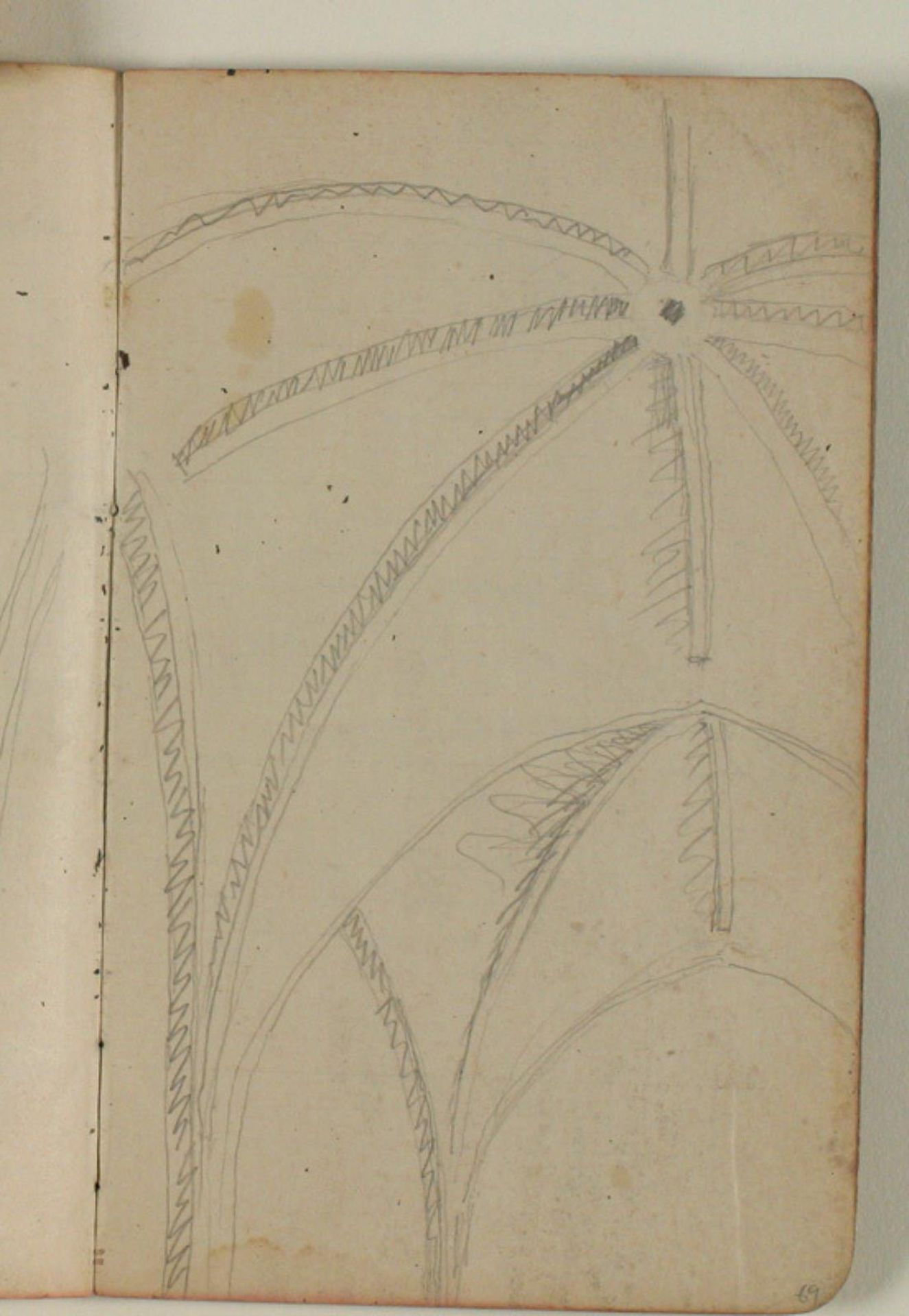 Studier af ribbehvælv, muligvis Saltum kirke by Niels Larsen Stevns