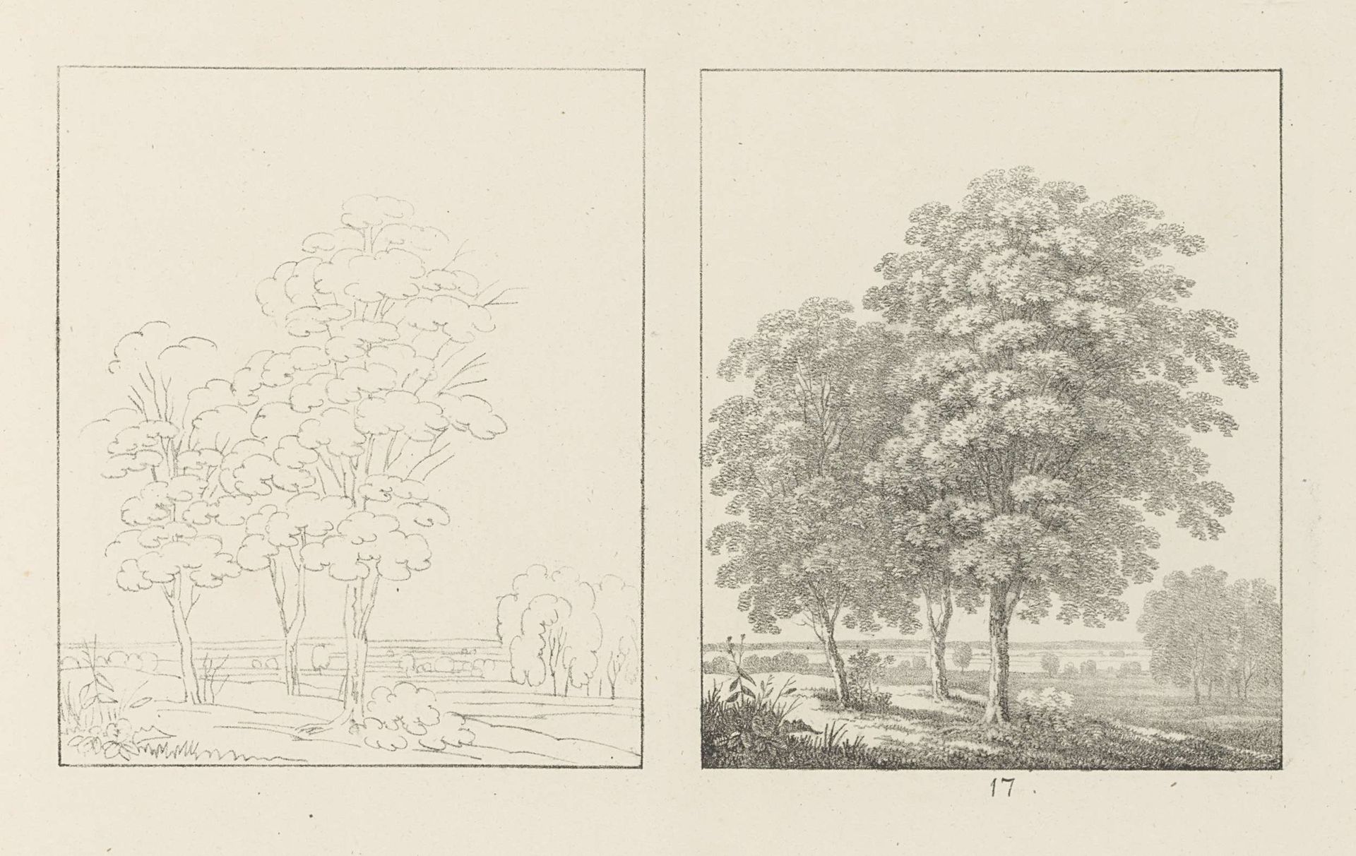 Albumblad met twee voorstellingen van een groep bomen: links het ontwerp, rechts de uitvoering by Max Josef Wagenbauer