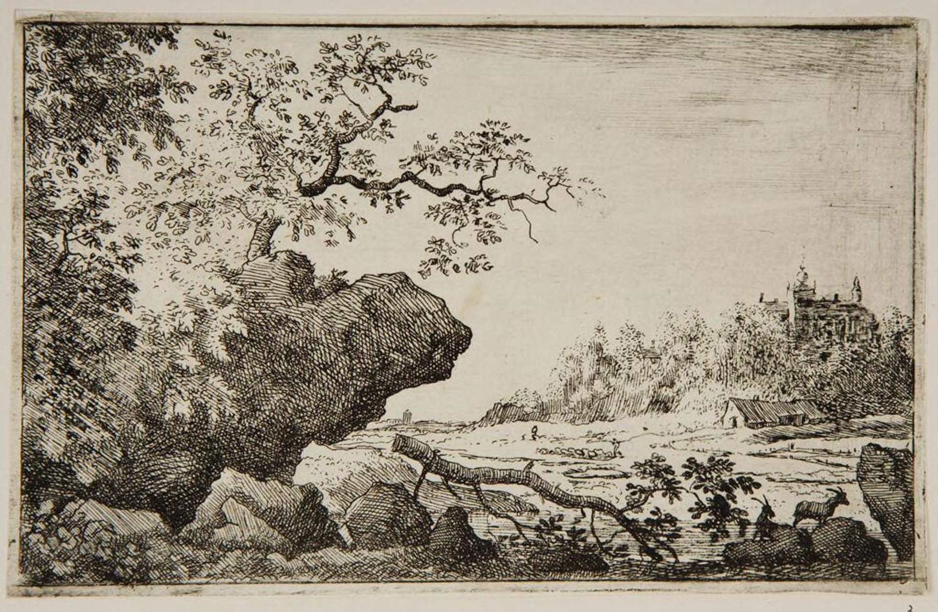Branch of a Tree by Allart van Everdingen