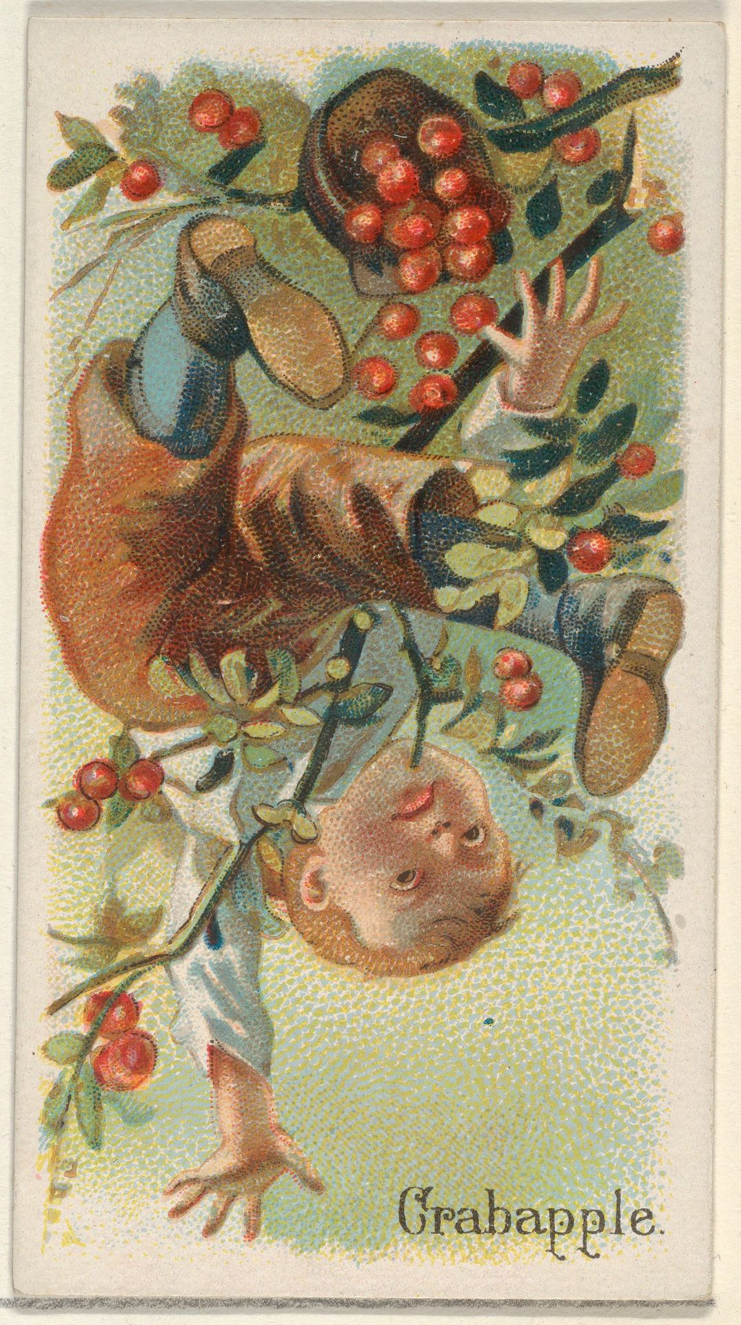 Crabapple, from the Fruits series (N12) for Allen & Ginter Cigarettes Brands by Allen & Ginter