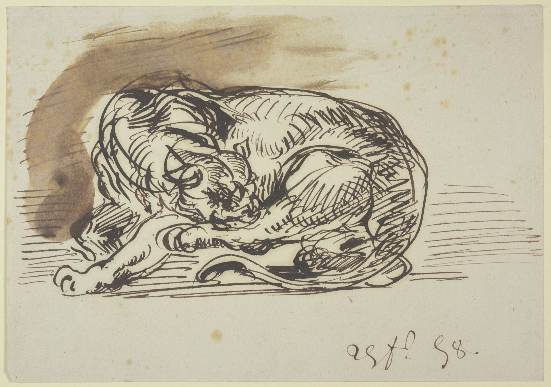 Löwin, ihre linke Hinterpfote leckend by Eugène Delacroix
