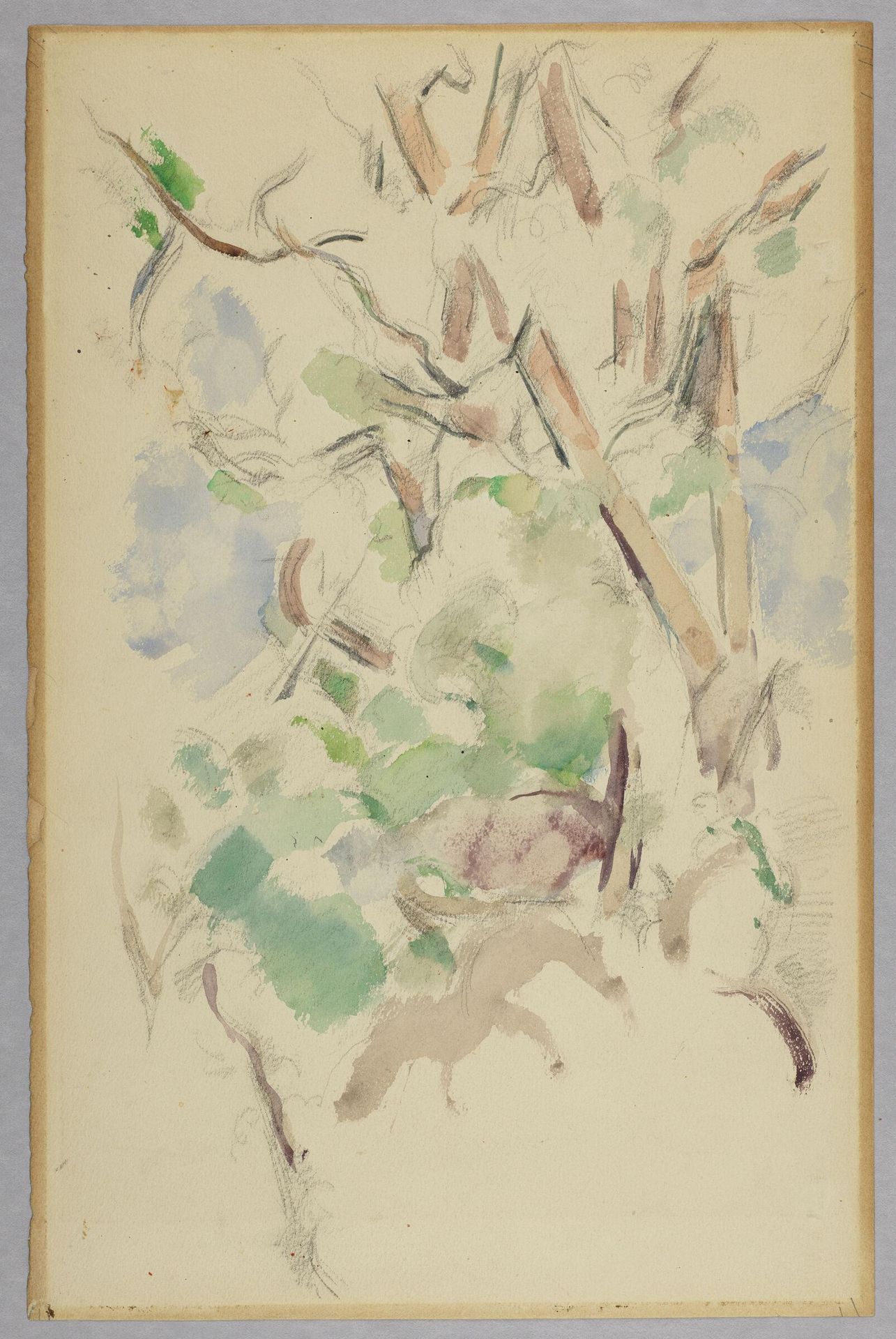 Forest Interior by Paul Cézanne