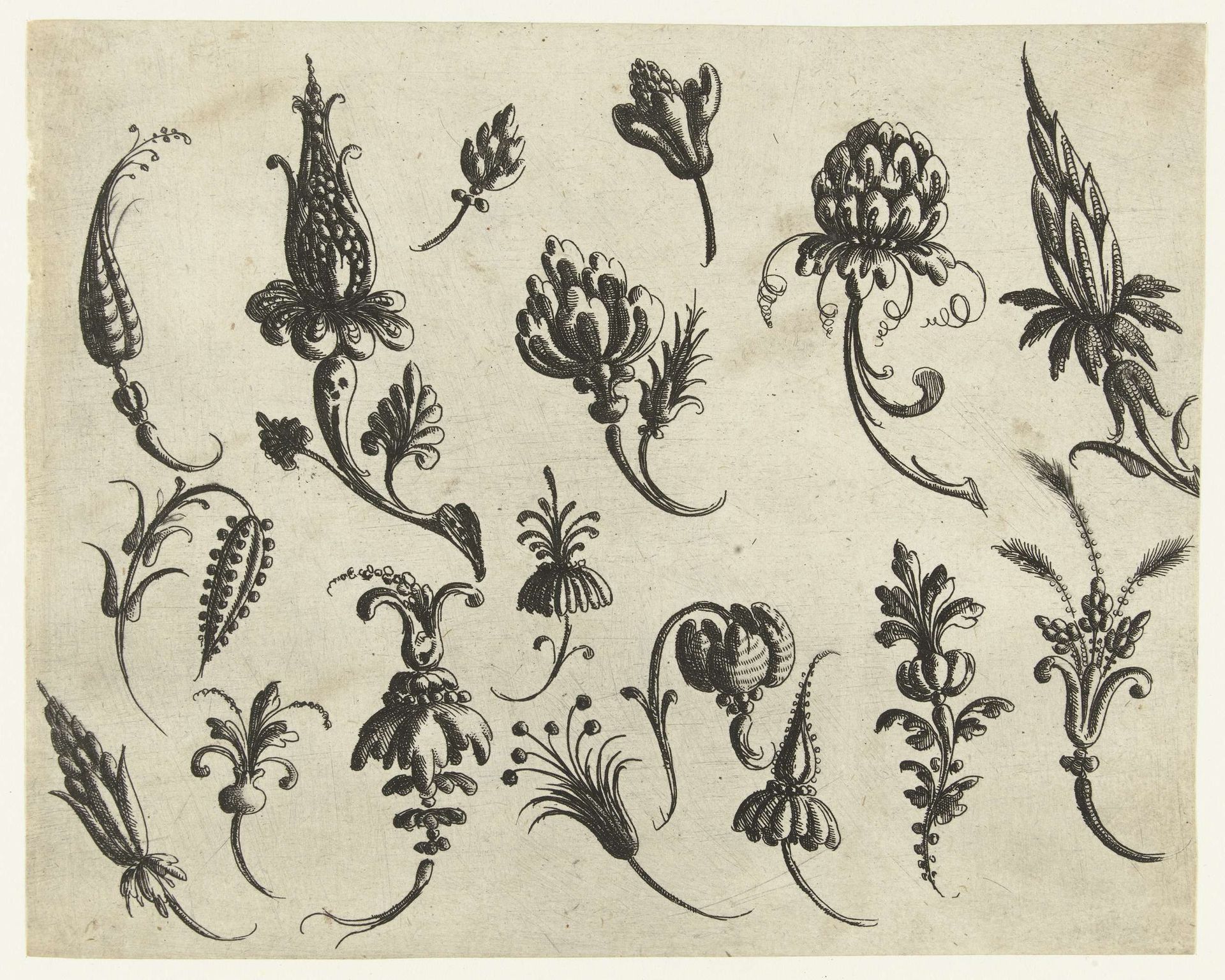 Zeventien bloemen by Christoph Jamnitzer