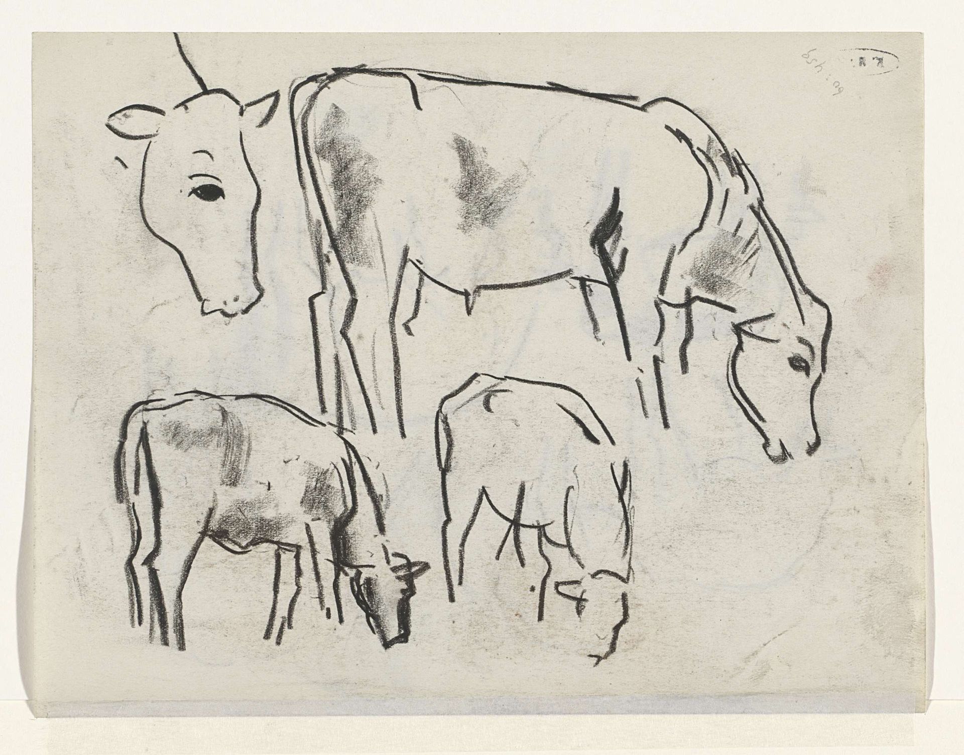 Drie koeien en een koeienkop by Leo Gestel