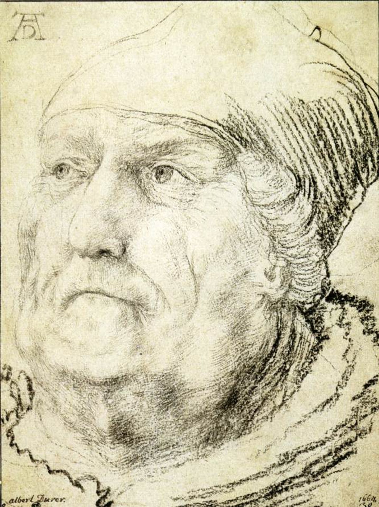 Head of an Old Man by Matthias Grünewald
