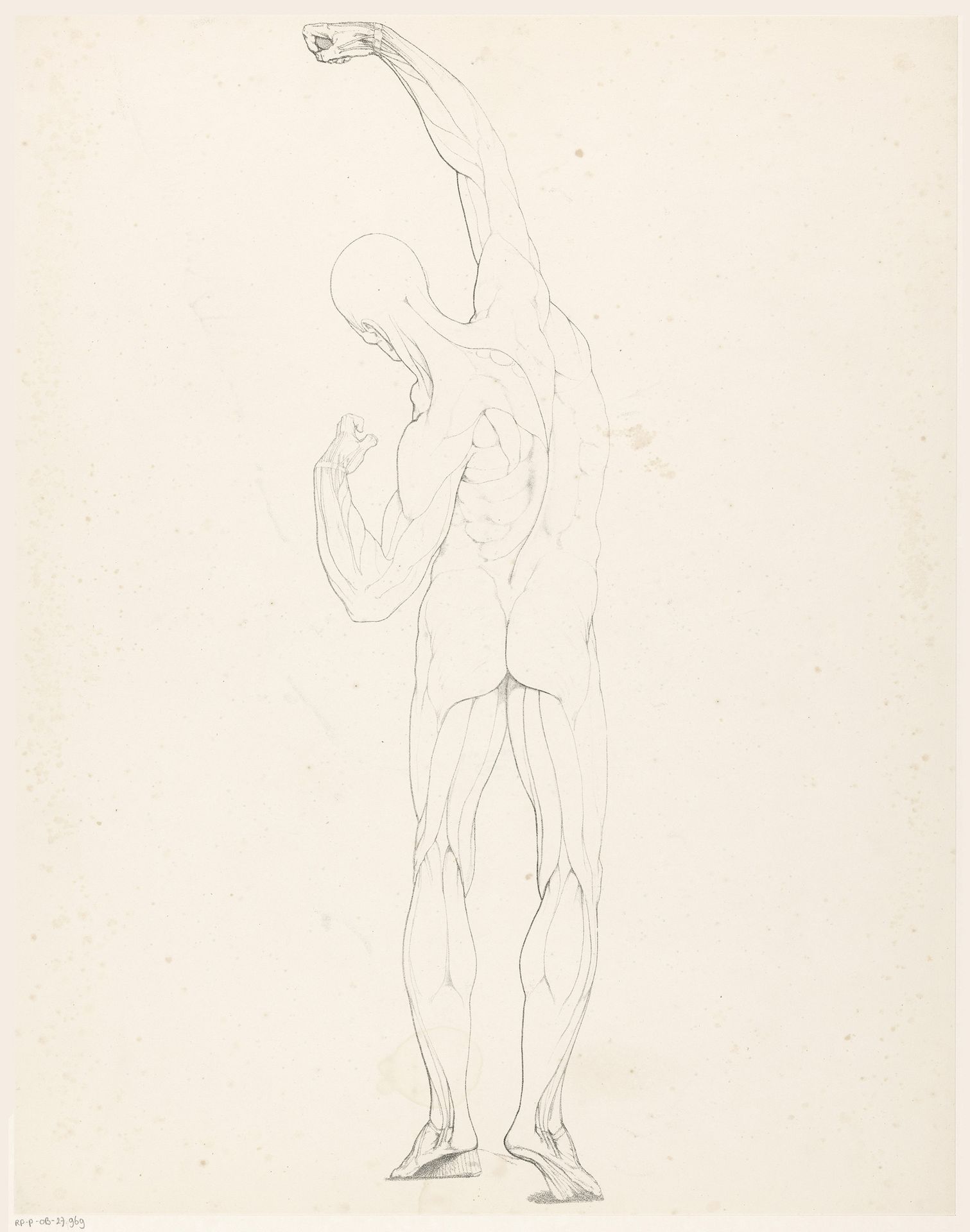 Tekenvoorbeeld van een écorché op de rug gezien by Jean Augustin Daiwaille