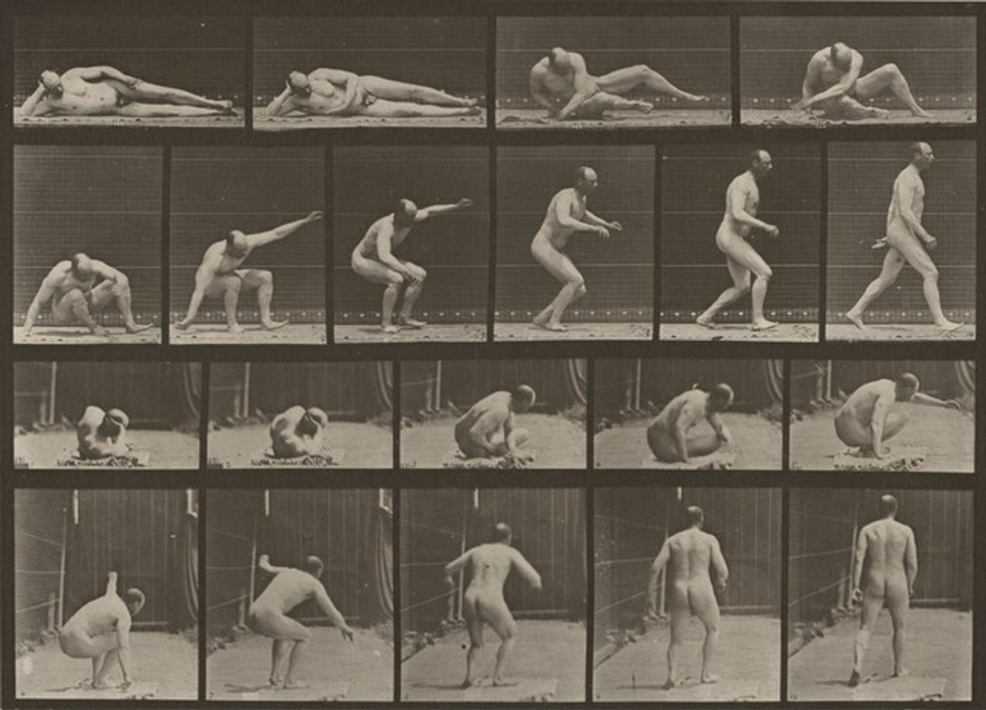 Plate Number 258. Arising from the ground and walking off by Eadweard Muybridge