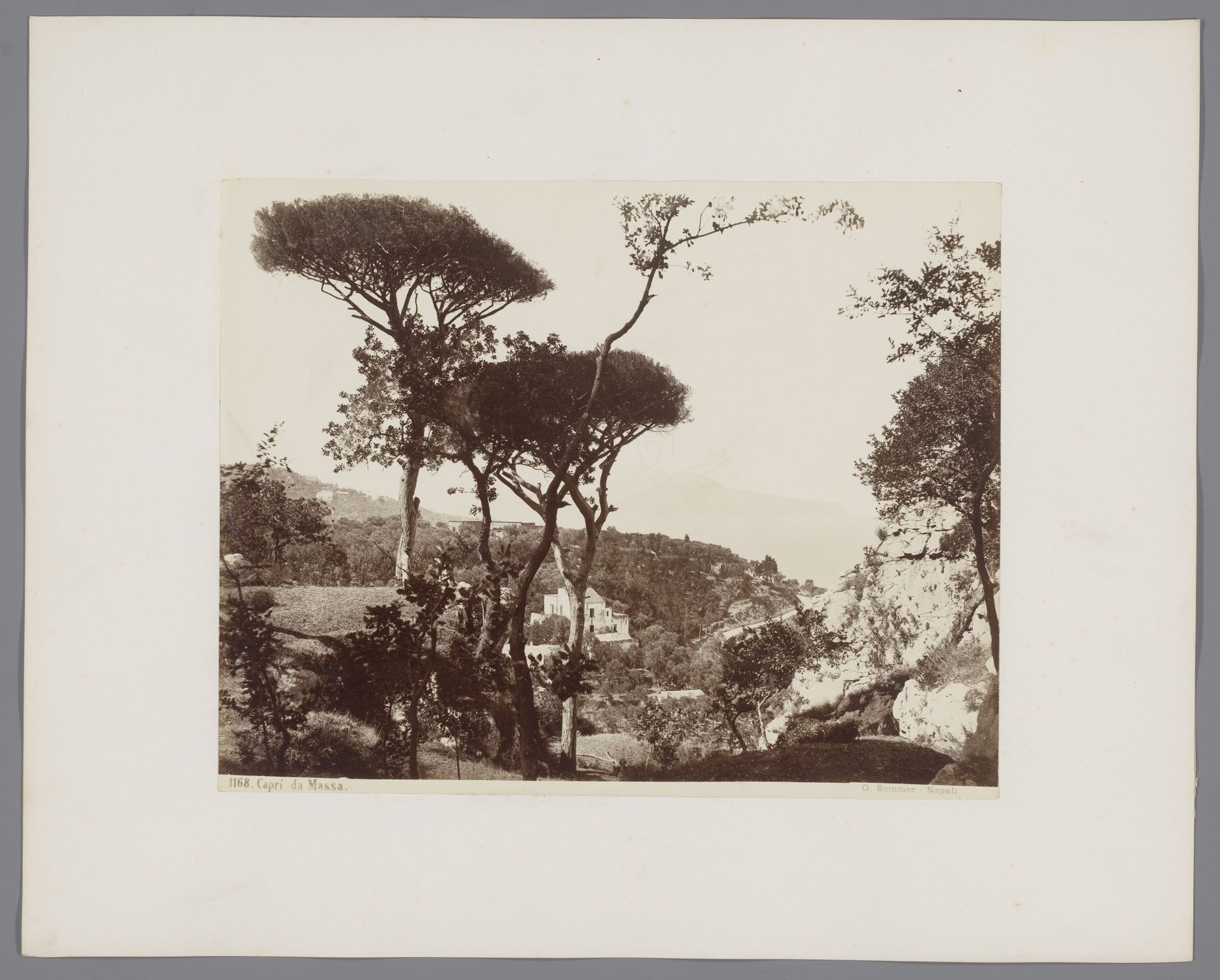 Landschap met bomen op Capri, Italië by Giorgio Sommer