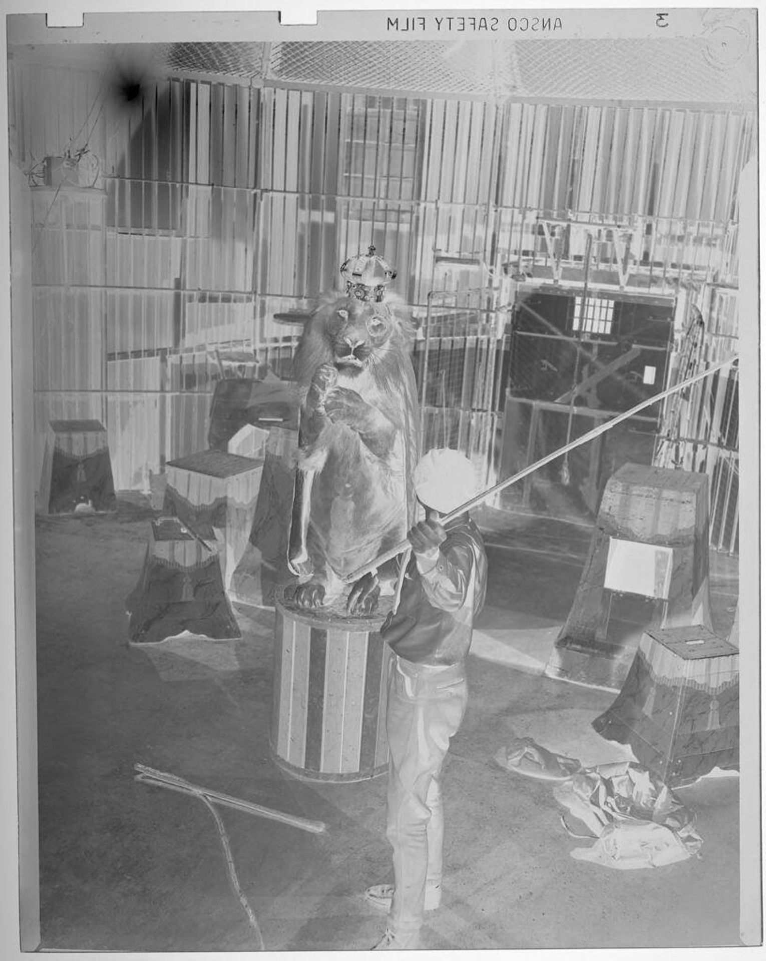 Untitled (lion on pedestal wearing crown; trainer holding large pole) by Jack Gould