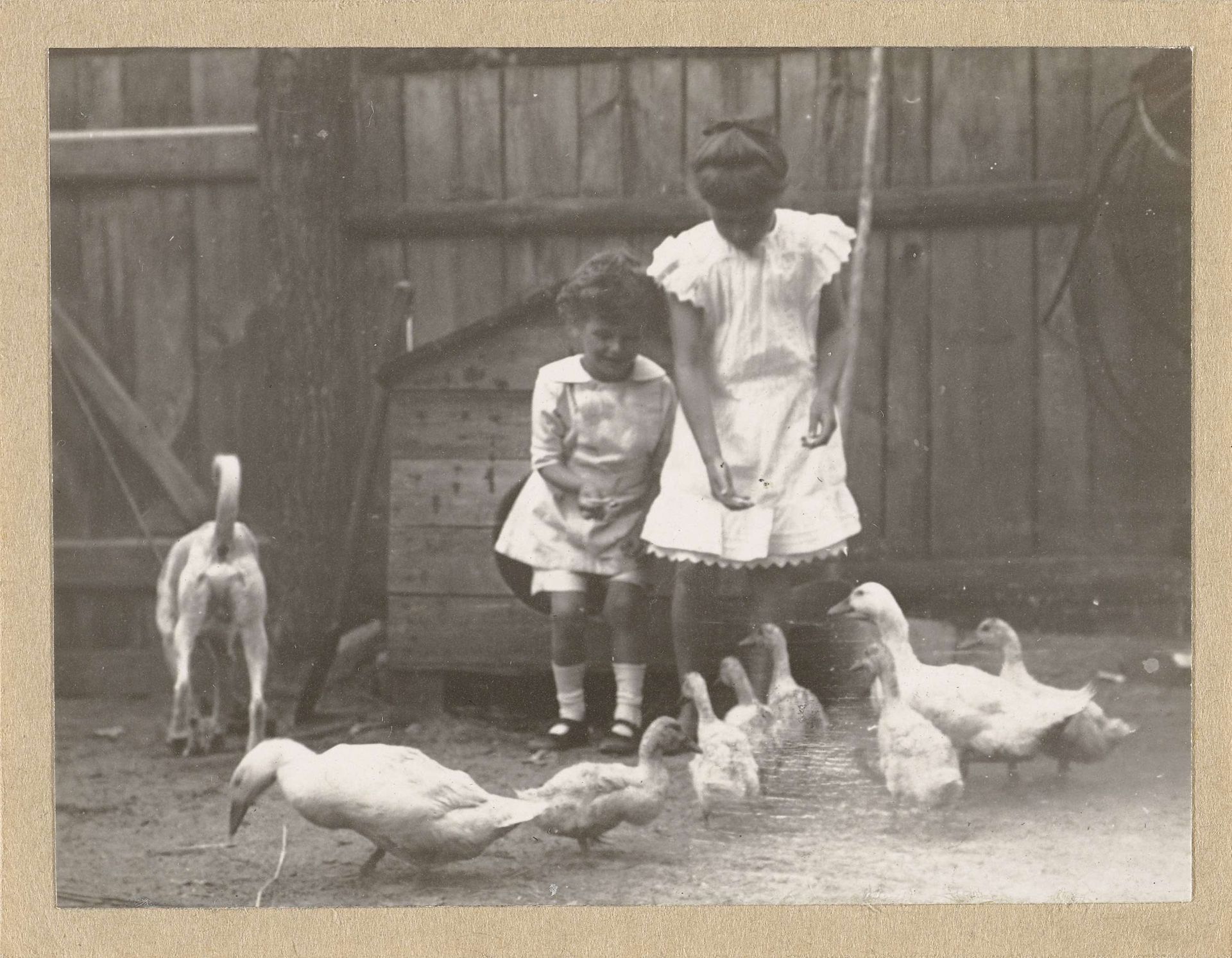 Marba en Eckart Titzenthaler, kinderen van de fotograaf, op een erf met kippen en eenden by Waldemar Titzenthaler