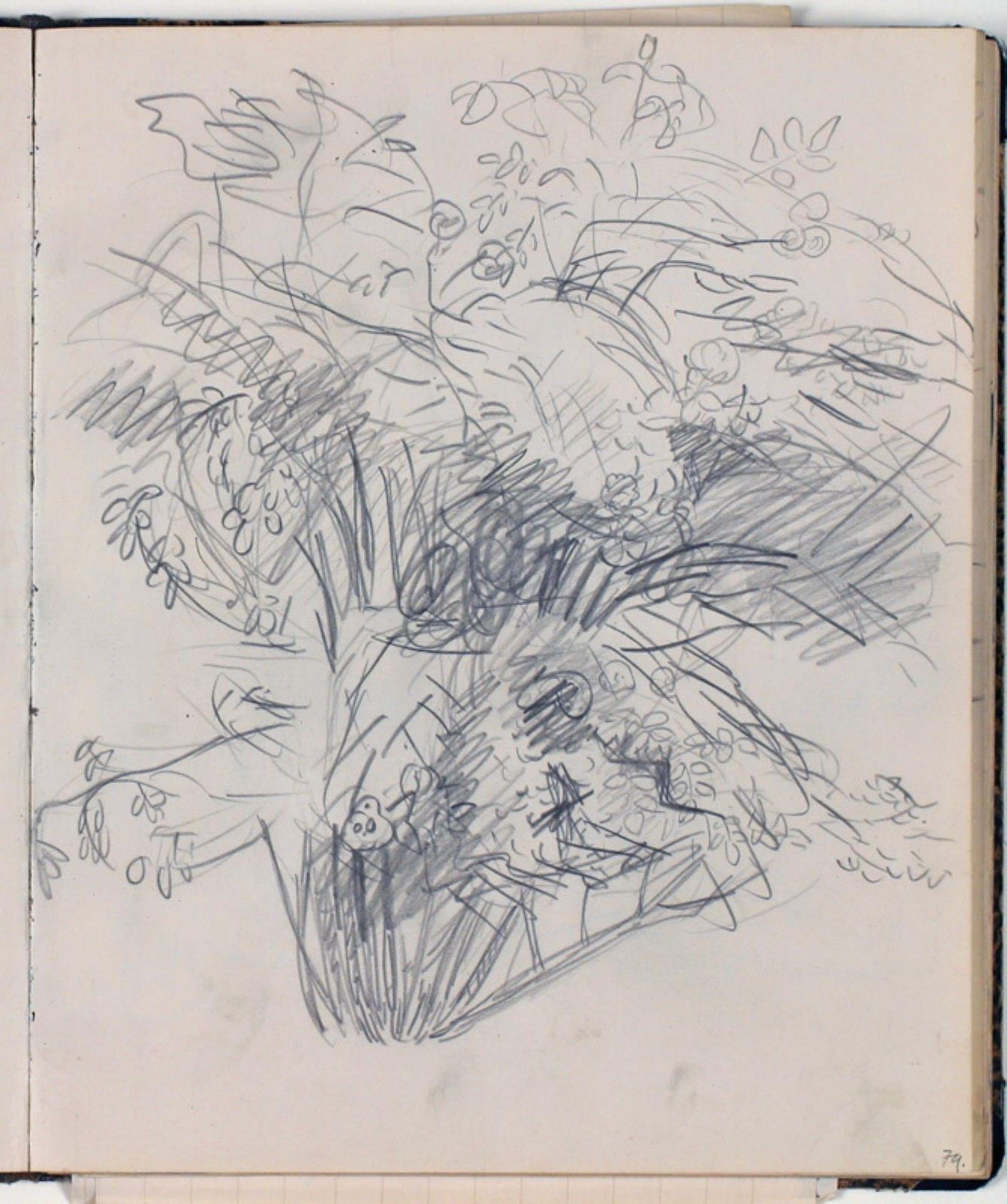 Plantestudie by Niels Larsen Stevns