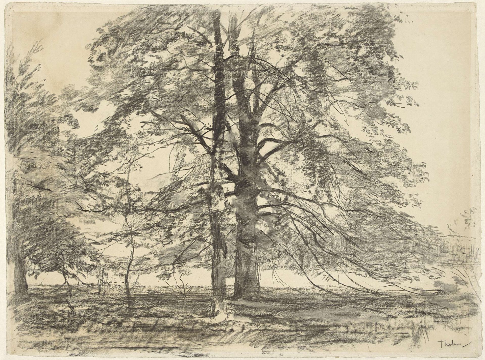 Hoge bomen in een vlak landschap by Willem Bastiaan Tholen